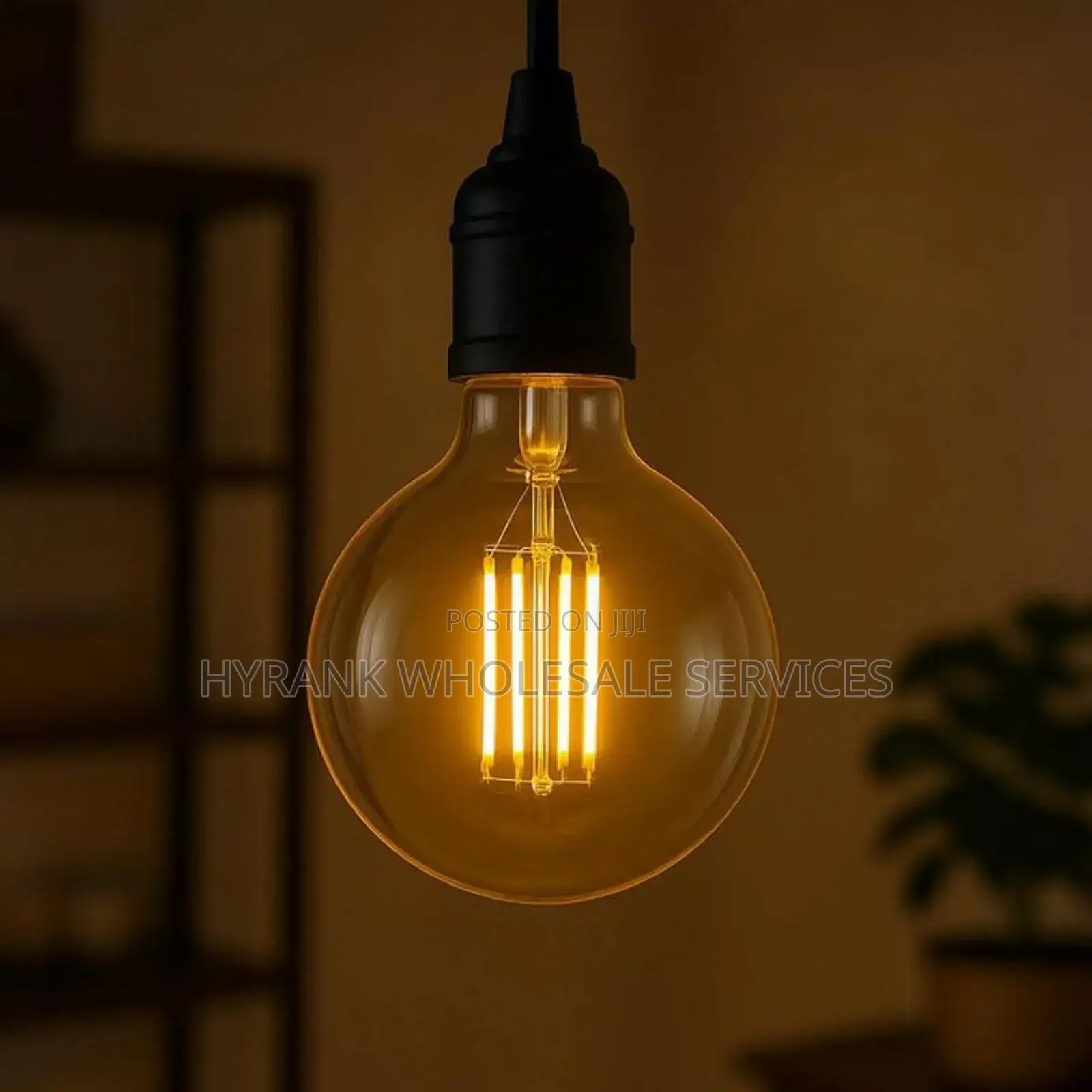 Decoration Light, Rope Wire and Bulbs