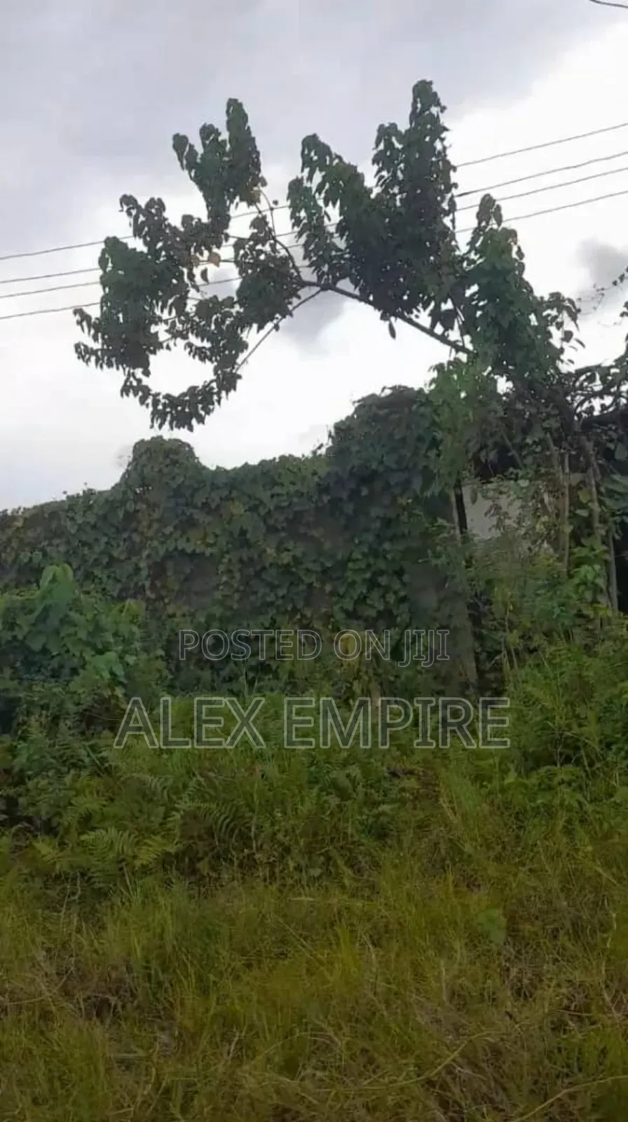 Land for Sale in 6th Avenue, Festac