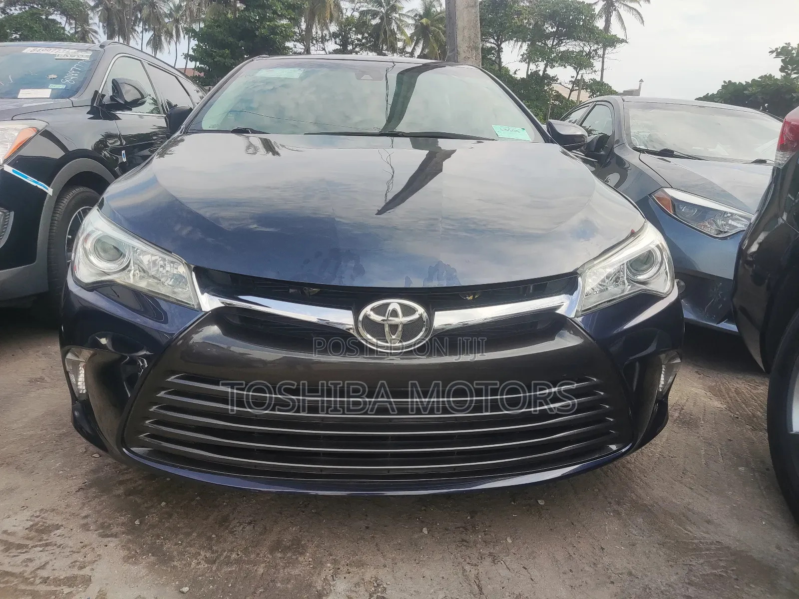 Toyota Camry XLE V6 4dr Sedan (3.6L 6cyl 6A) 2016 Blue