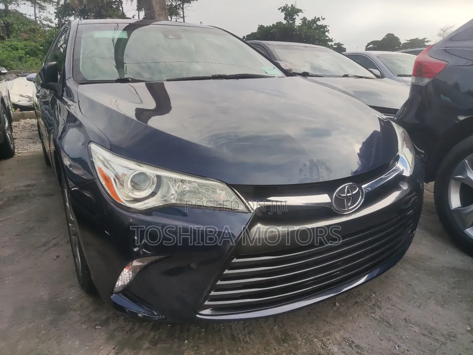 Toyota Camry XLE V6 4dr Sedan (3.6L 6cyl 6A) 2016 Blue