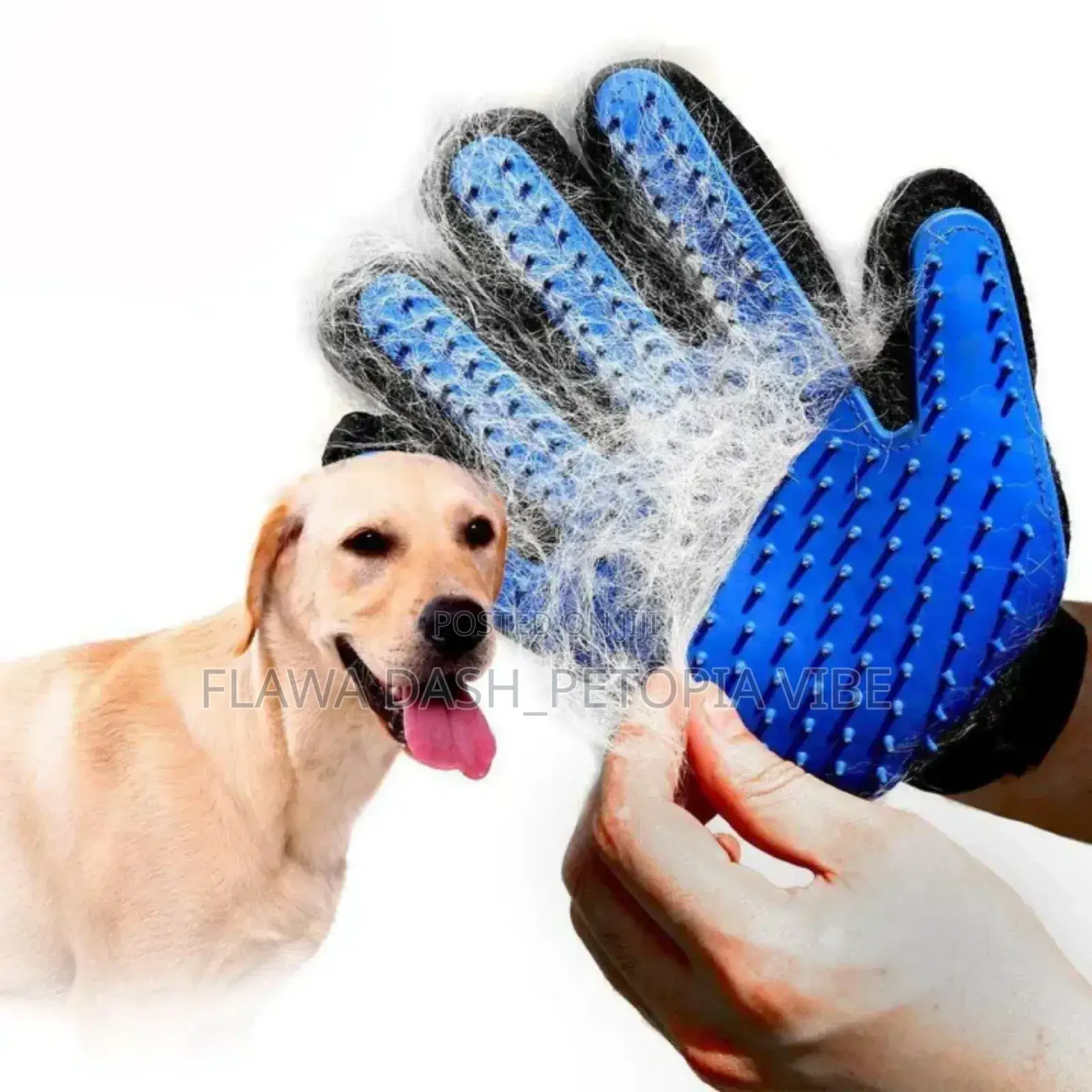 Right Hand Pet Grooming Bathing Glove Dogs, Puppies, Cats and Kittens
