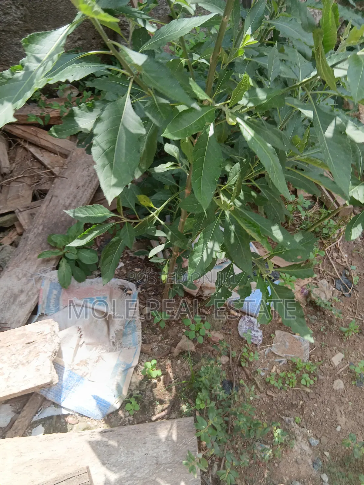 30ft by 62ft Quarter Plot Iguando Phase 2 Celestial Rd