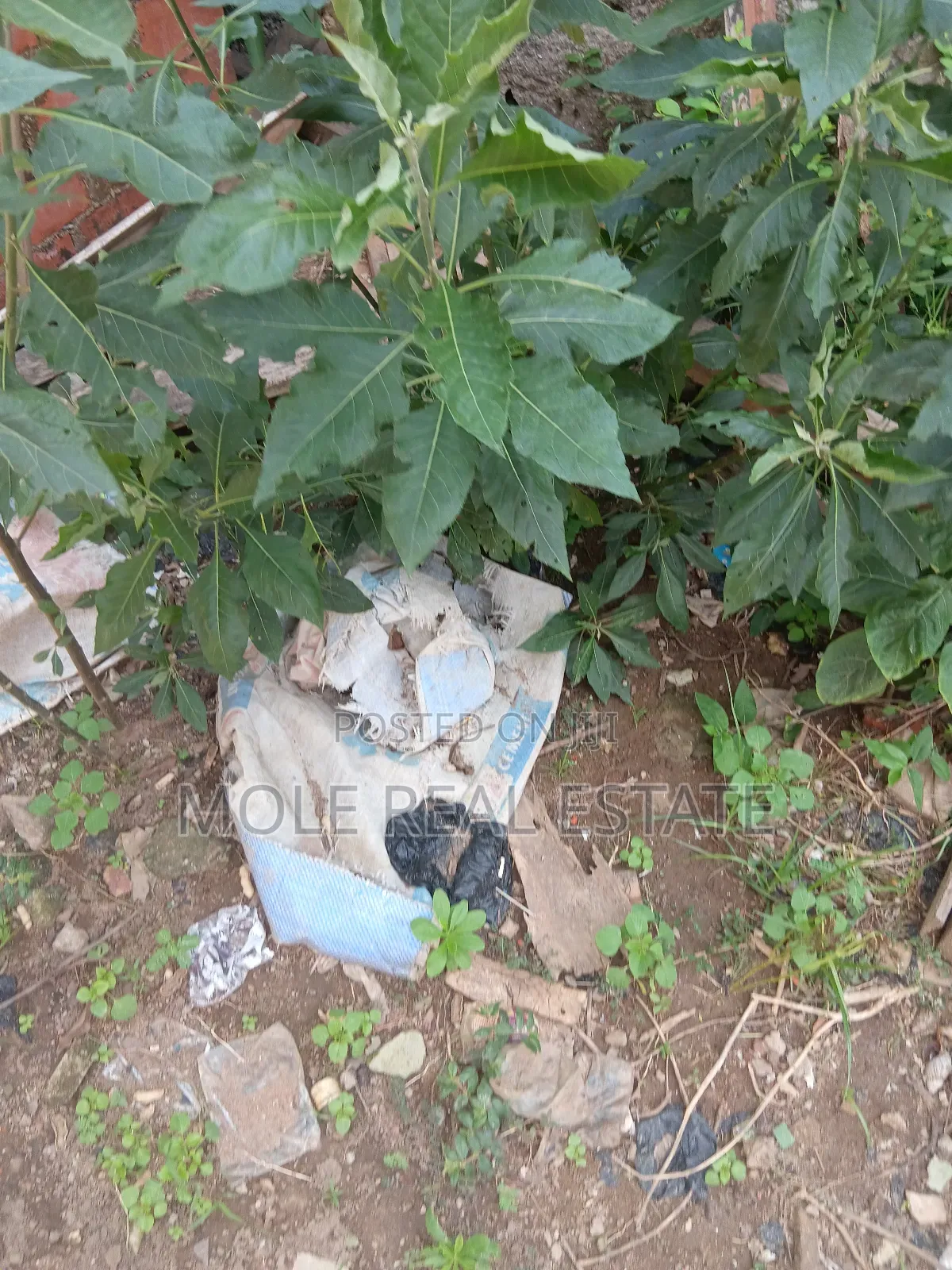 10000sqm Plot Behind Purple Mall Off Freedom Way Ikate Leki
