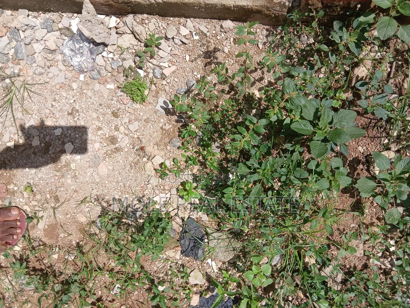 300sqm ( Half Plot) Fenc Agric Road Iguando Distres Sales