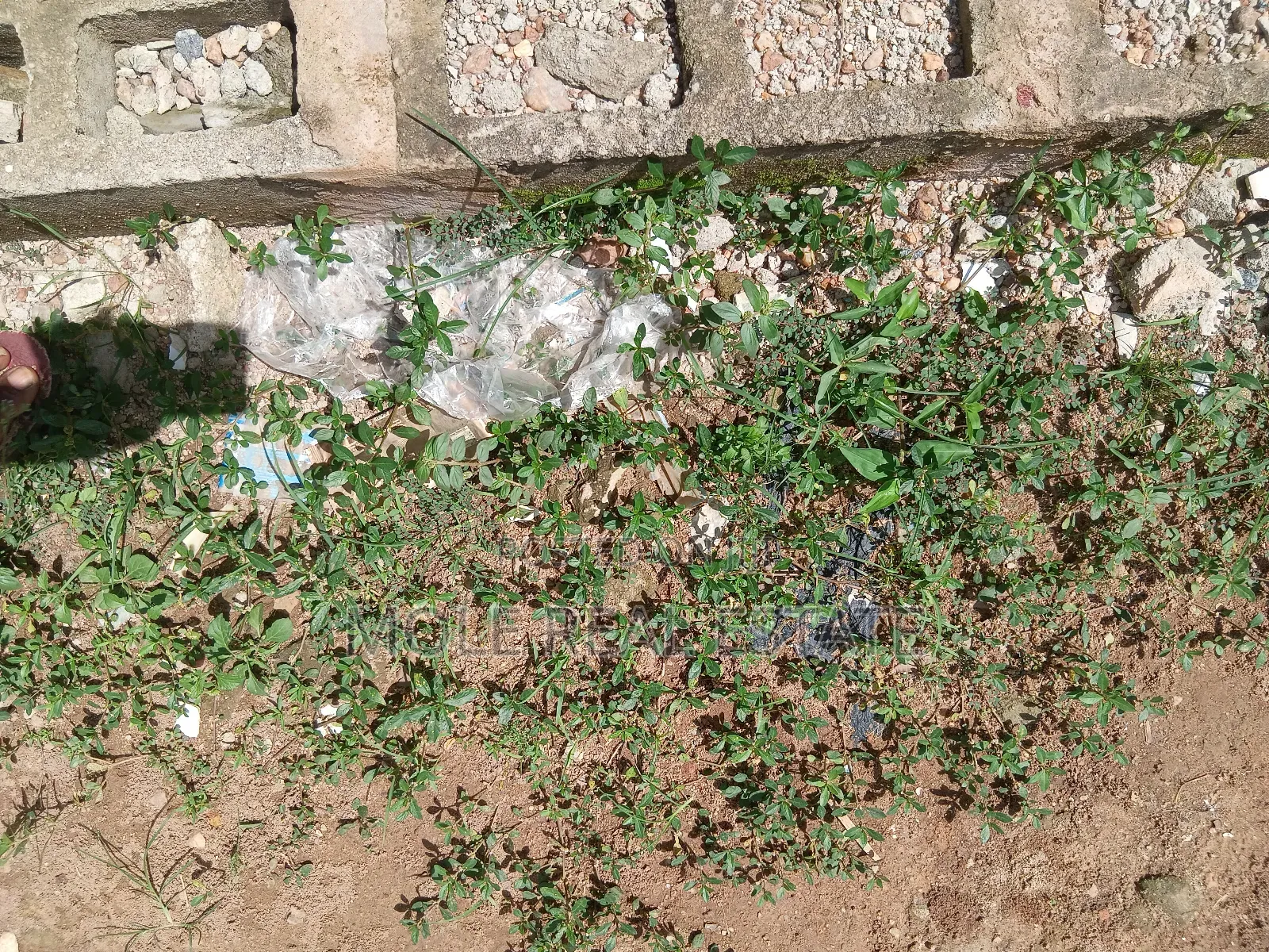 2bdrm Block of Flats in Ikeja for sale