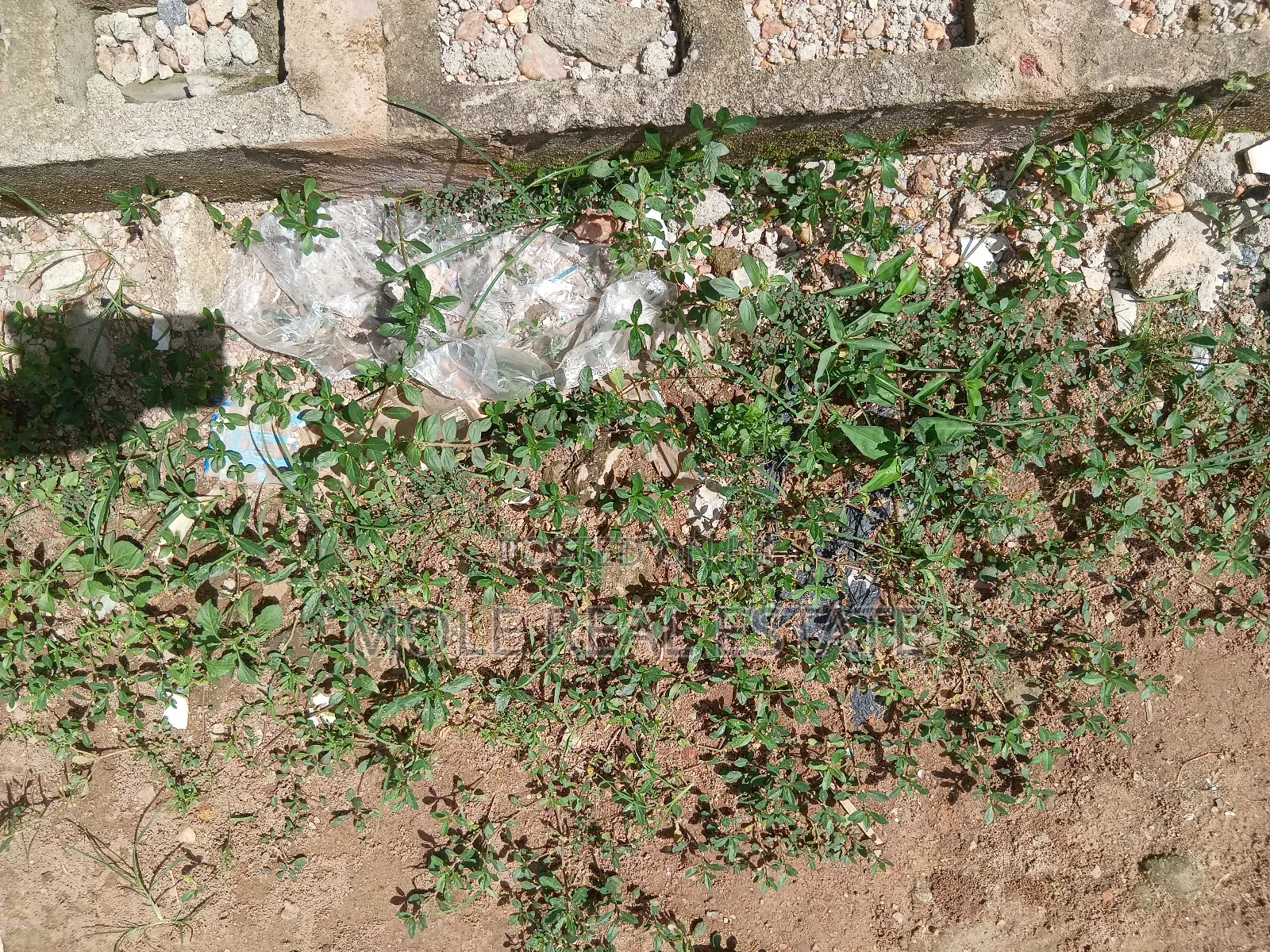 2bdrm Block of Flats in Ikeja for sale