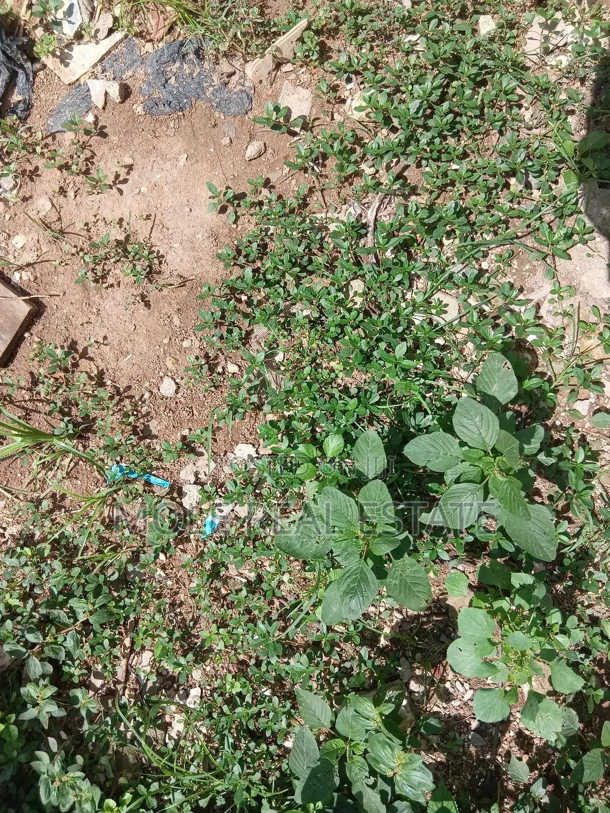 10000sqm Plot Behind Purple Mall Off Freedom Way Ikate Leki