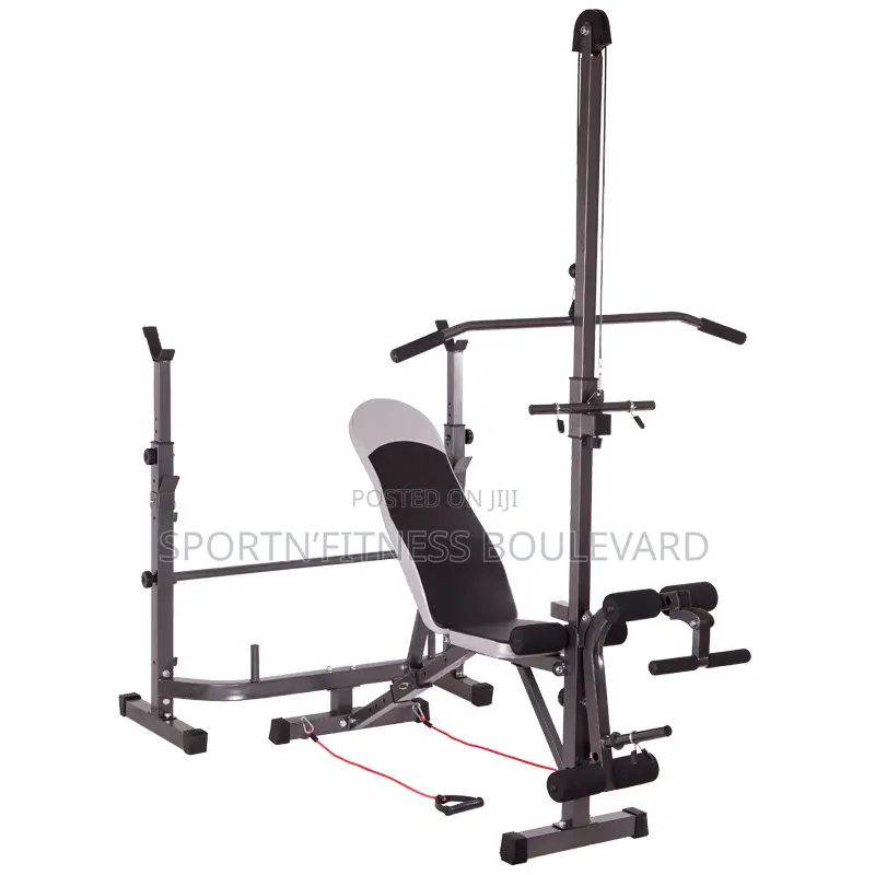 Multi-Purpose Workout Bench (American Standard)