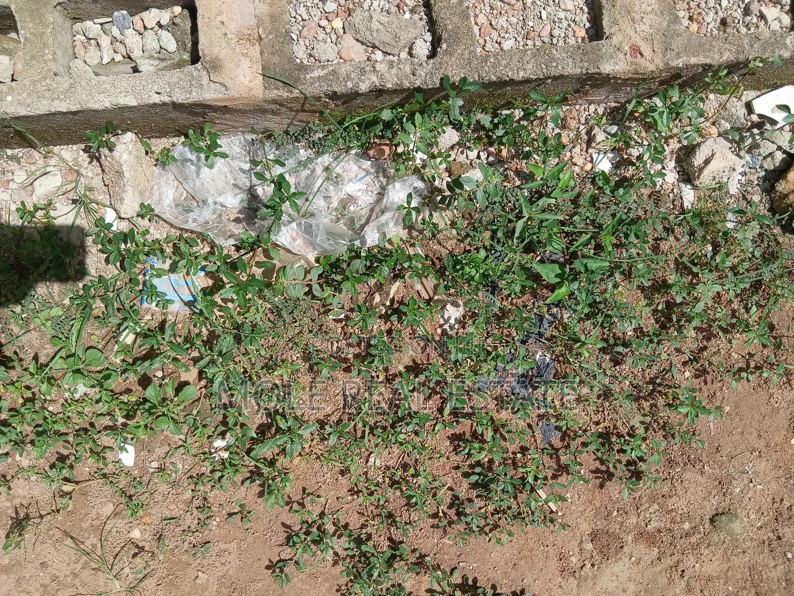 600sqm ( Fulĺ Plot ) 4 Lease Calvary B/S Ikotun Idimu Rd
