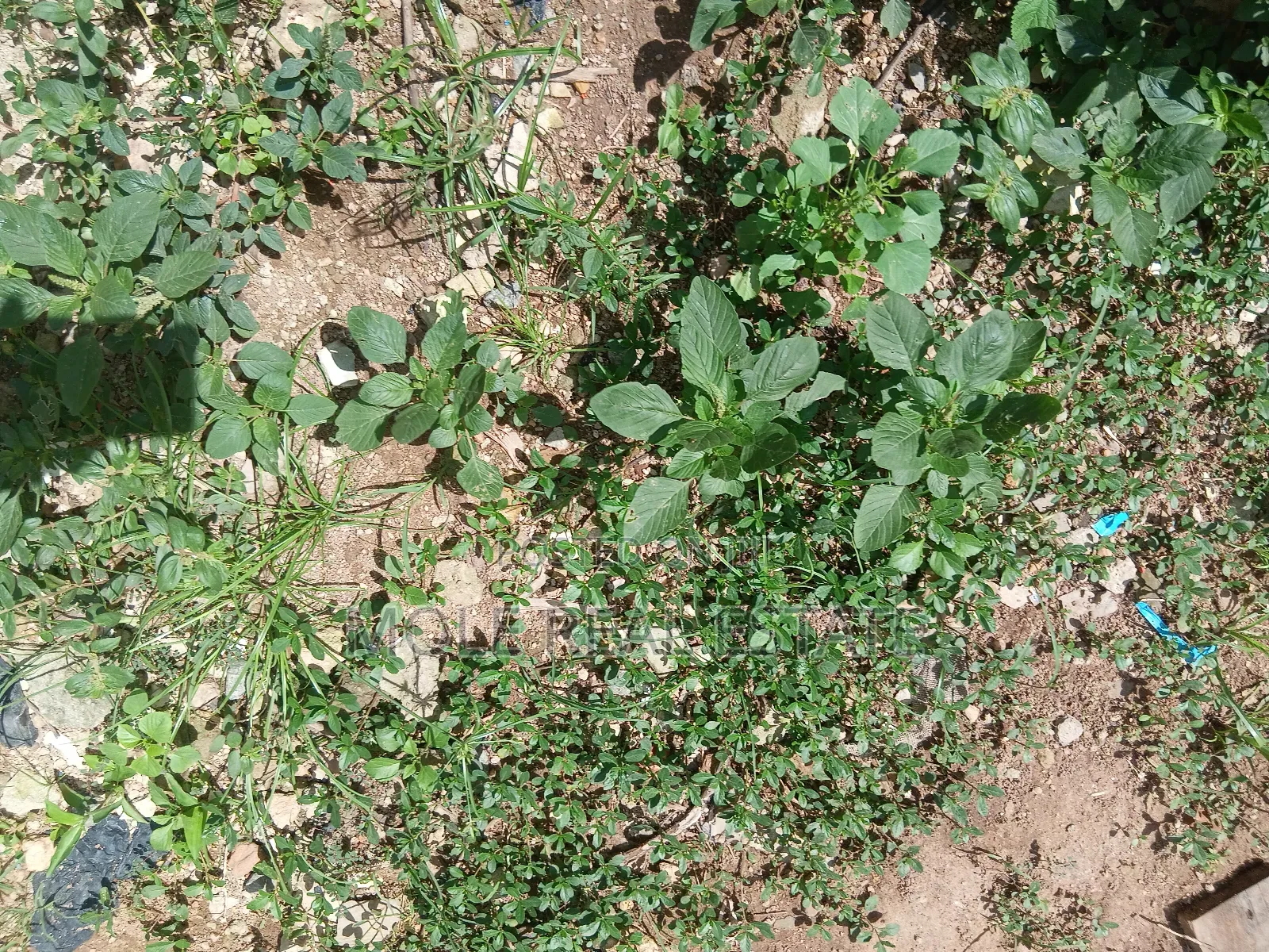 600sqm (Full Plot ) Governor's Rd Ikotun Prime