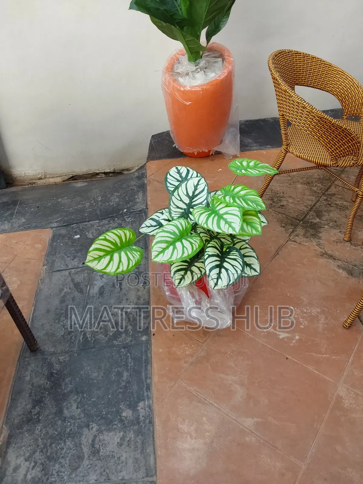 Mini Classical Cassava Flower