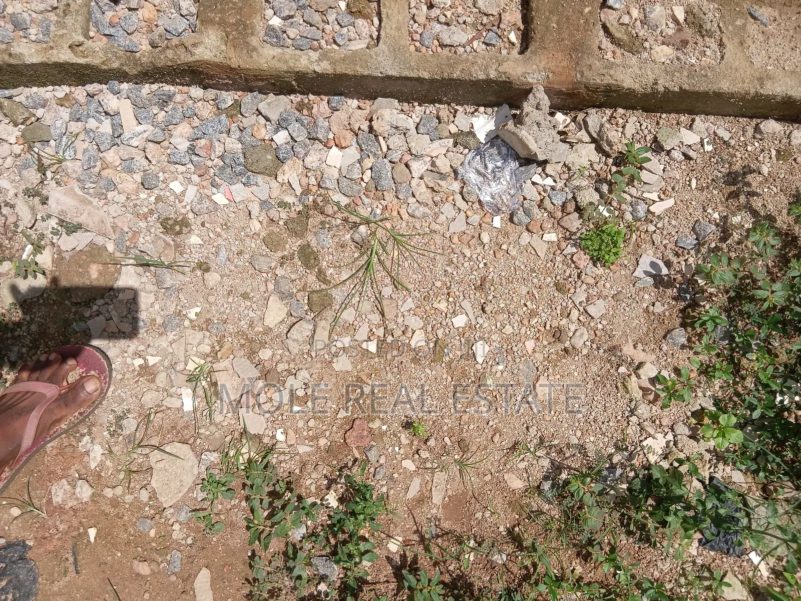 30/120ft (Half Plot) Lanre Bustop Lasu/Isheri Express