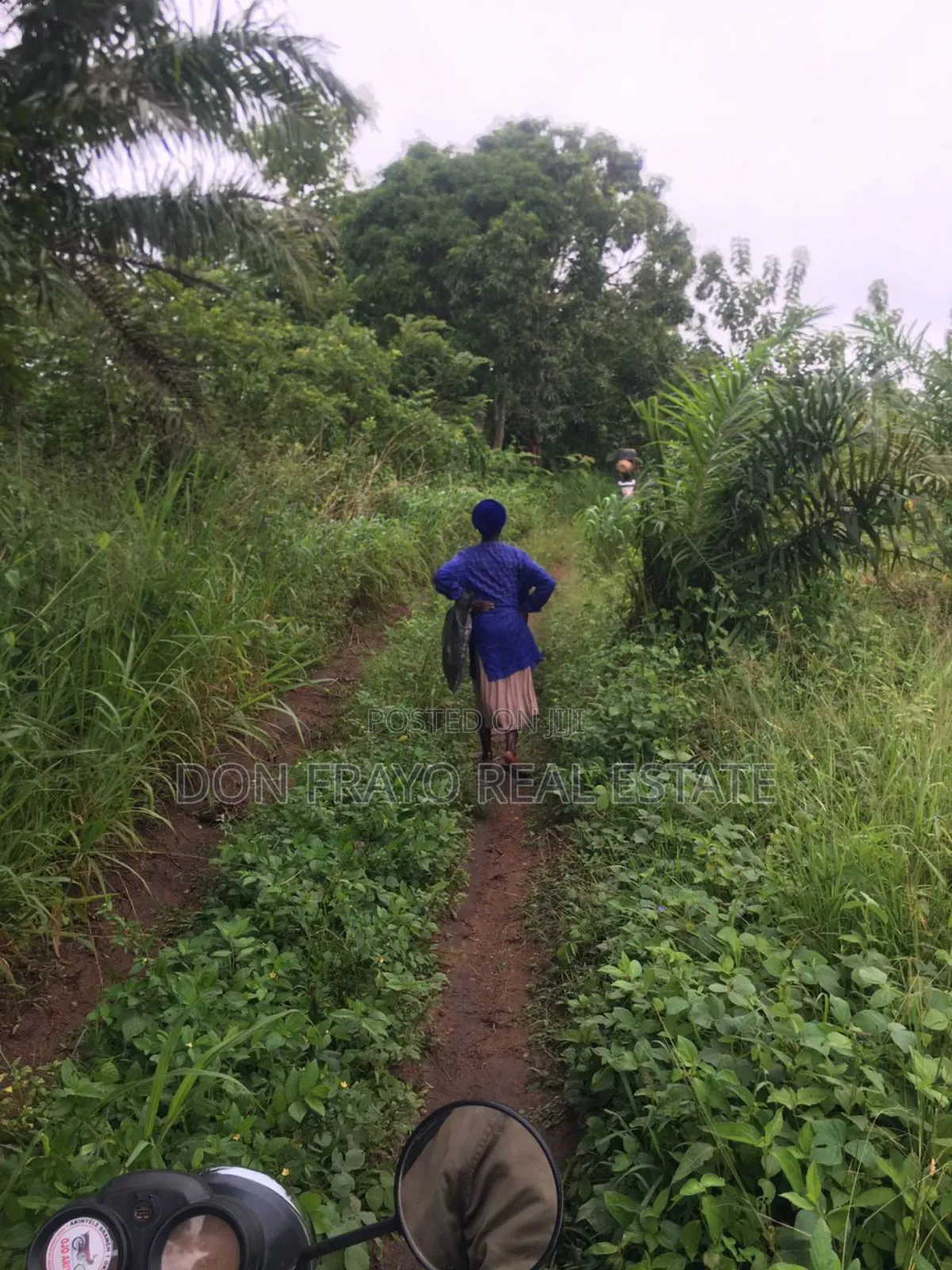 7 Acres of Farmland for Sale at Ojedeji Off Ijaye-Iseyin Exp