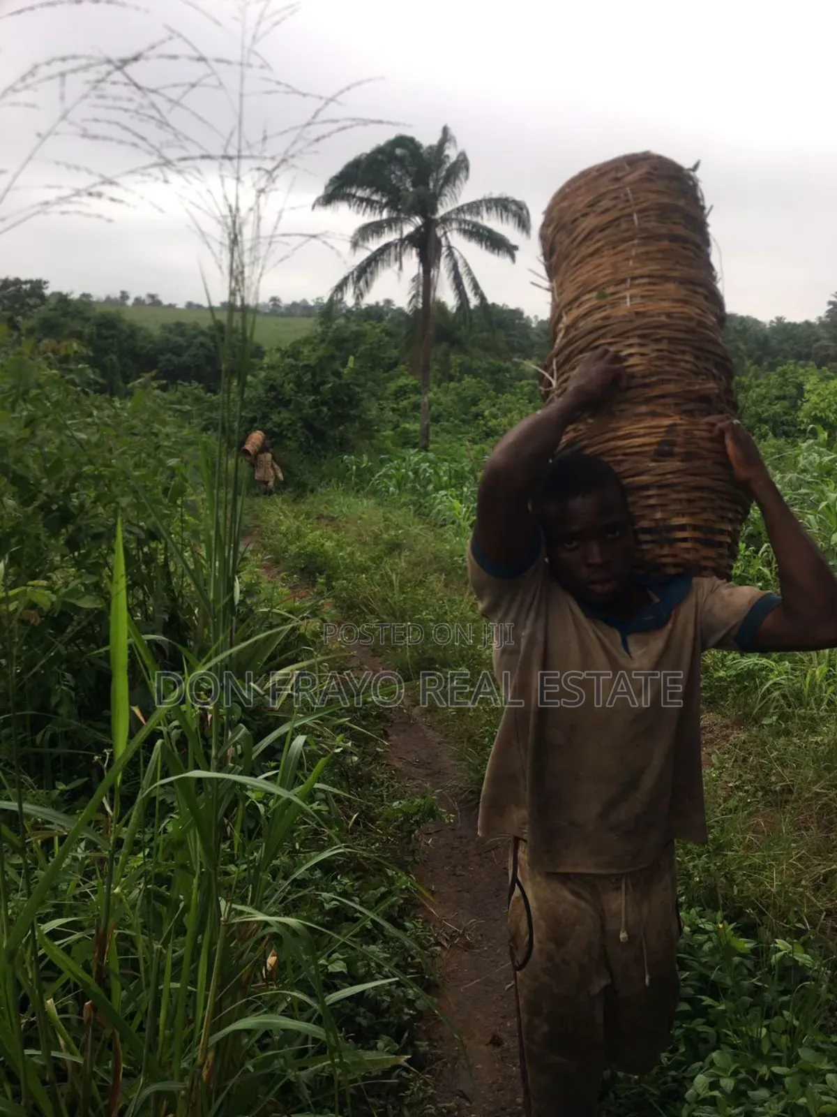 7 Acres of Farmland for Sale at Ojedeji Off Ijaye-Iseyin Exp