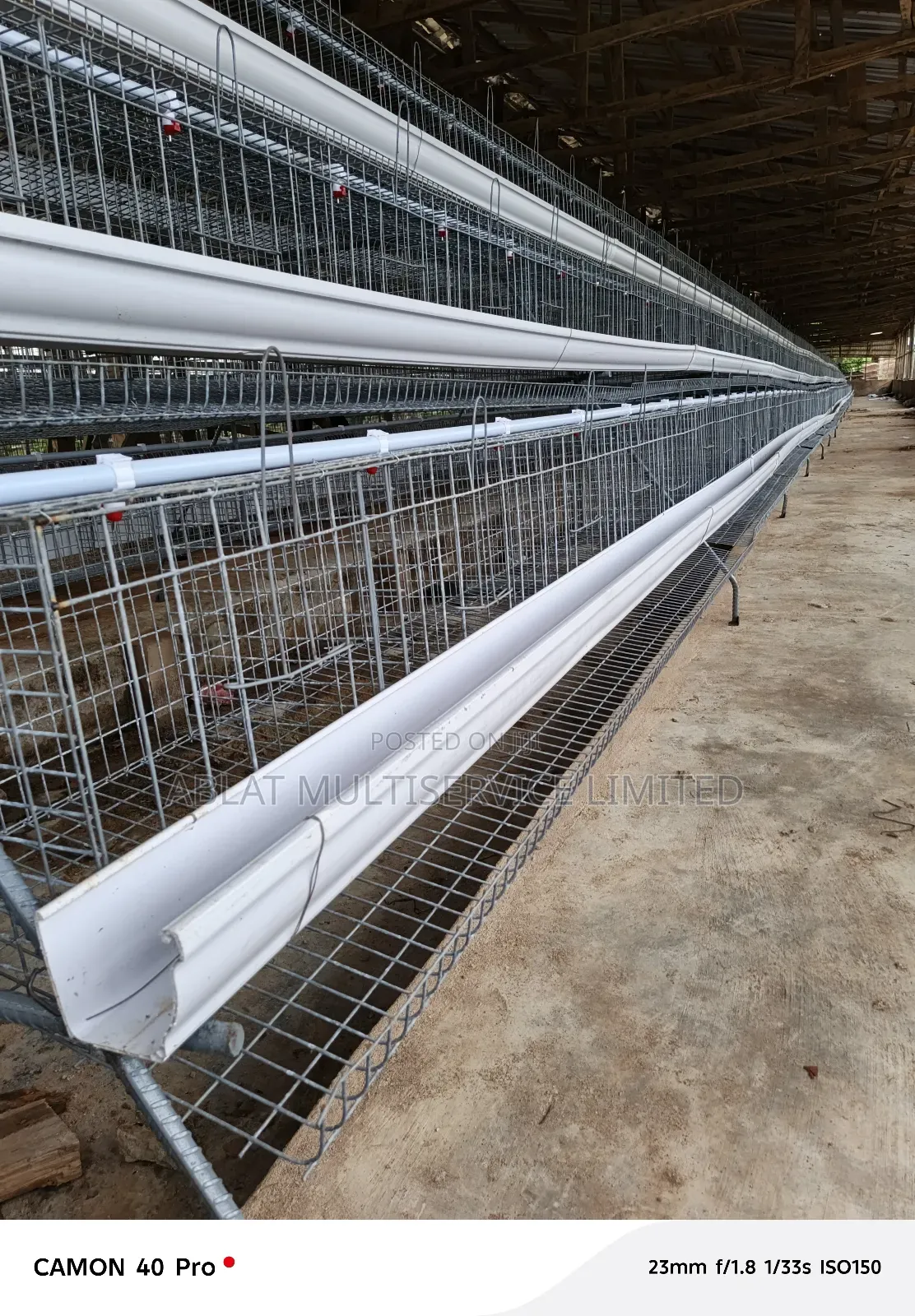Farmers Cage for Poultry