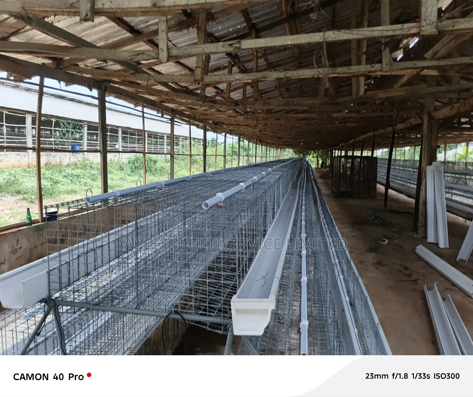 Farmers Cage for Poultry