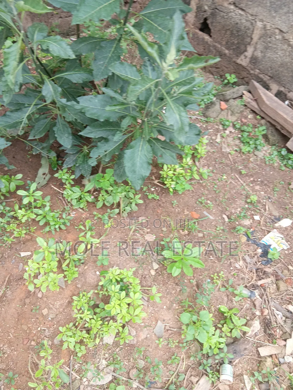 300sqm ( Half Plot) Governor's Rd By Bustop