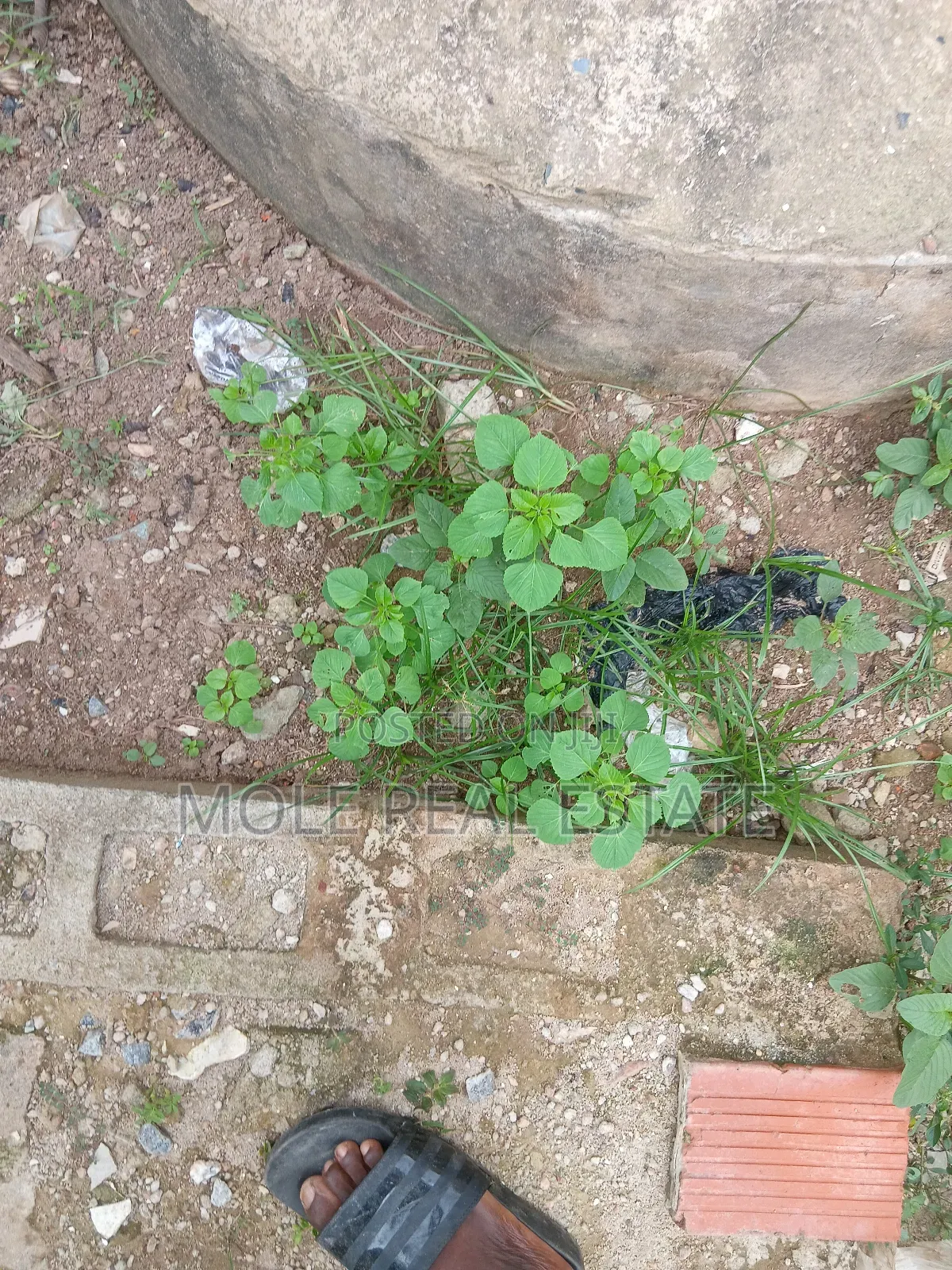 1200sqm Plot Along Anthony Maryland