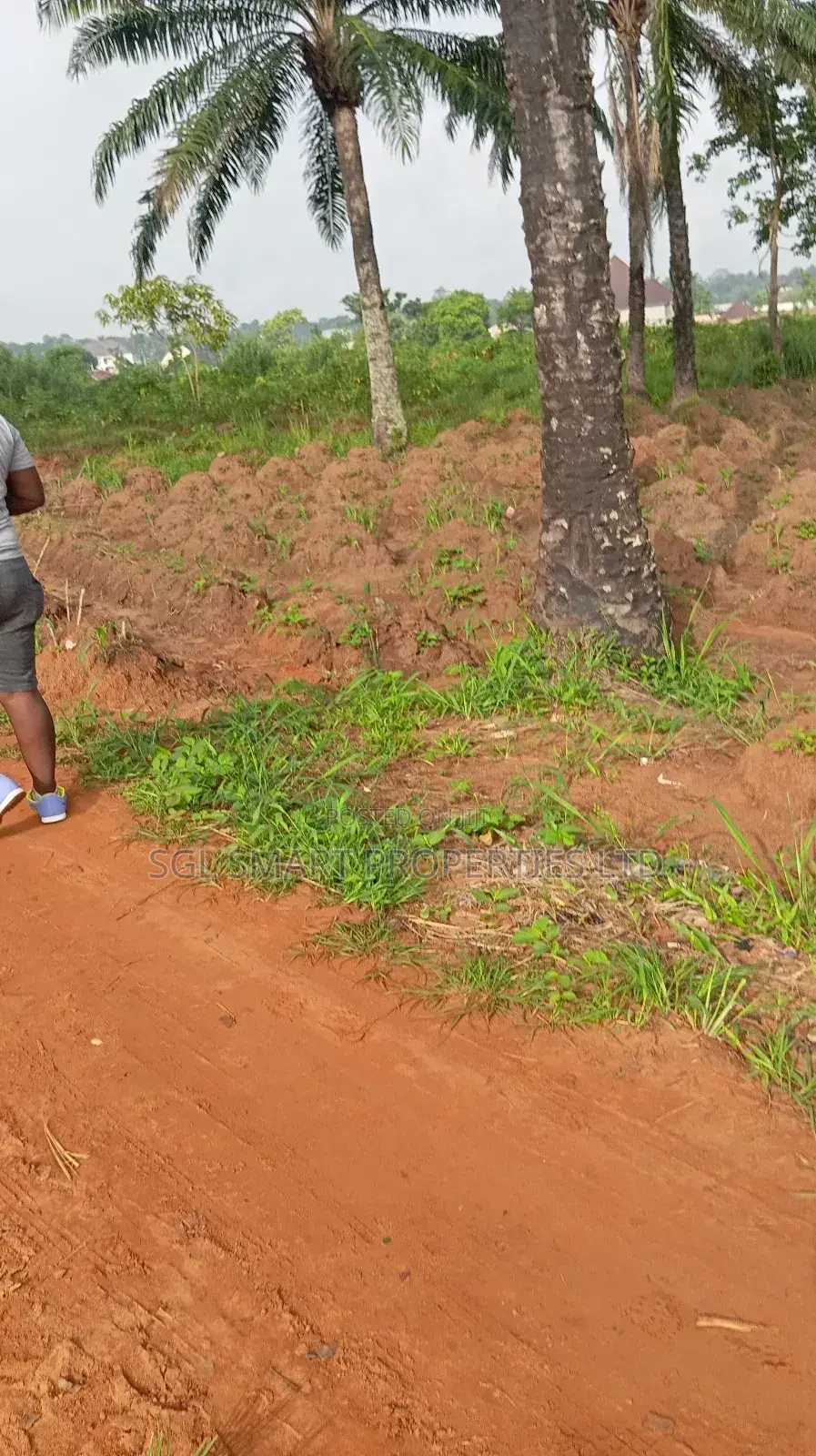 One Plot of Land at Nibo