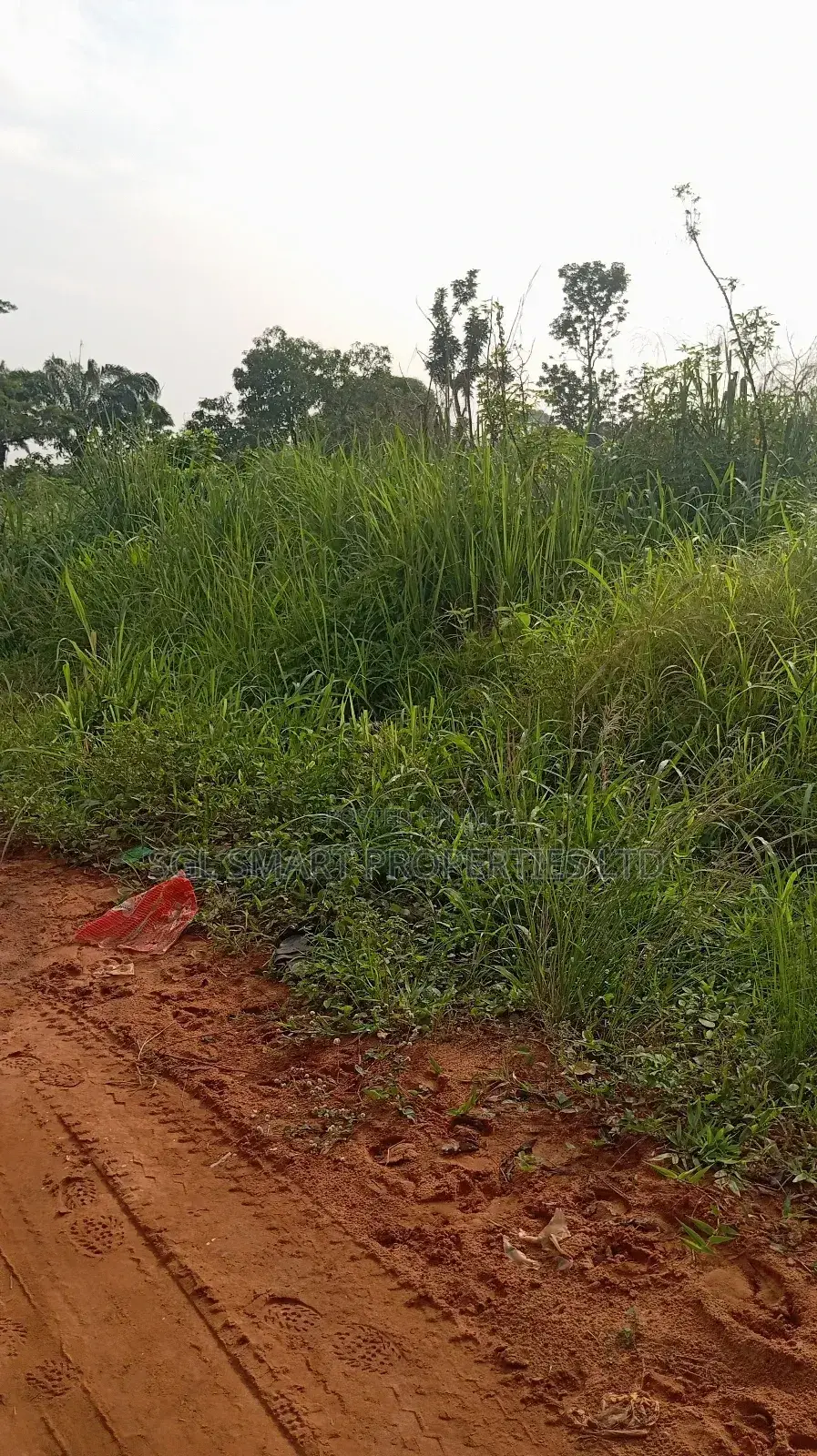 One Plot of Land at Nibo