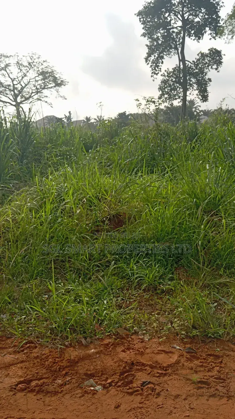 One Plot of Land at Nibo