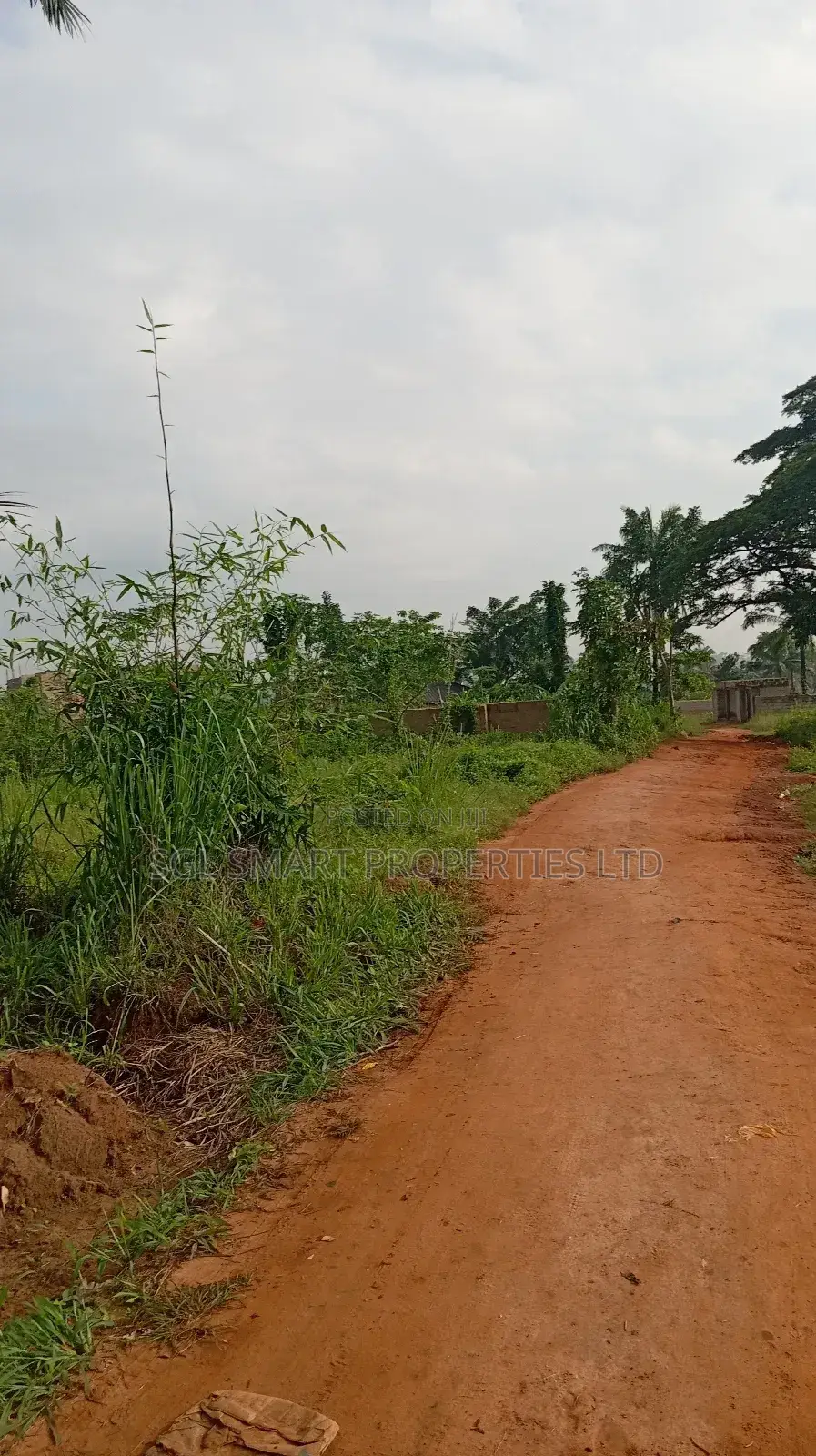 One Plot of Land at Nibo