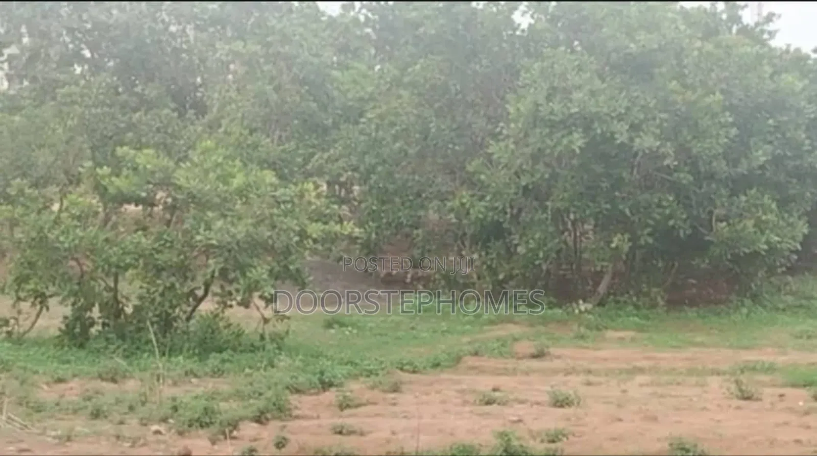 1.23 Hectares Land in Wawa for Sale