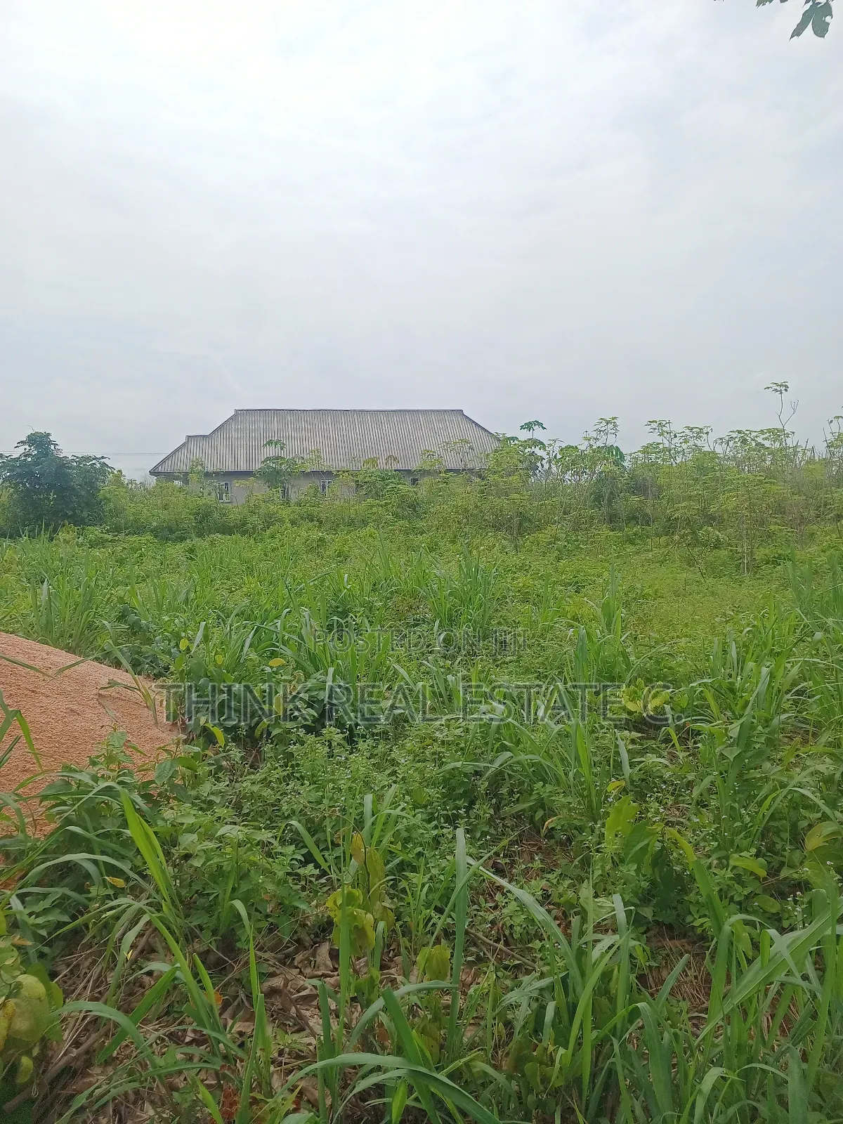 100/200 at Utekon,Oluku for 8m Net,3poles From the Tarred Rd