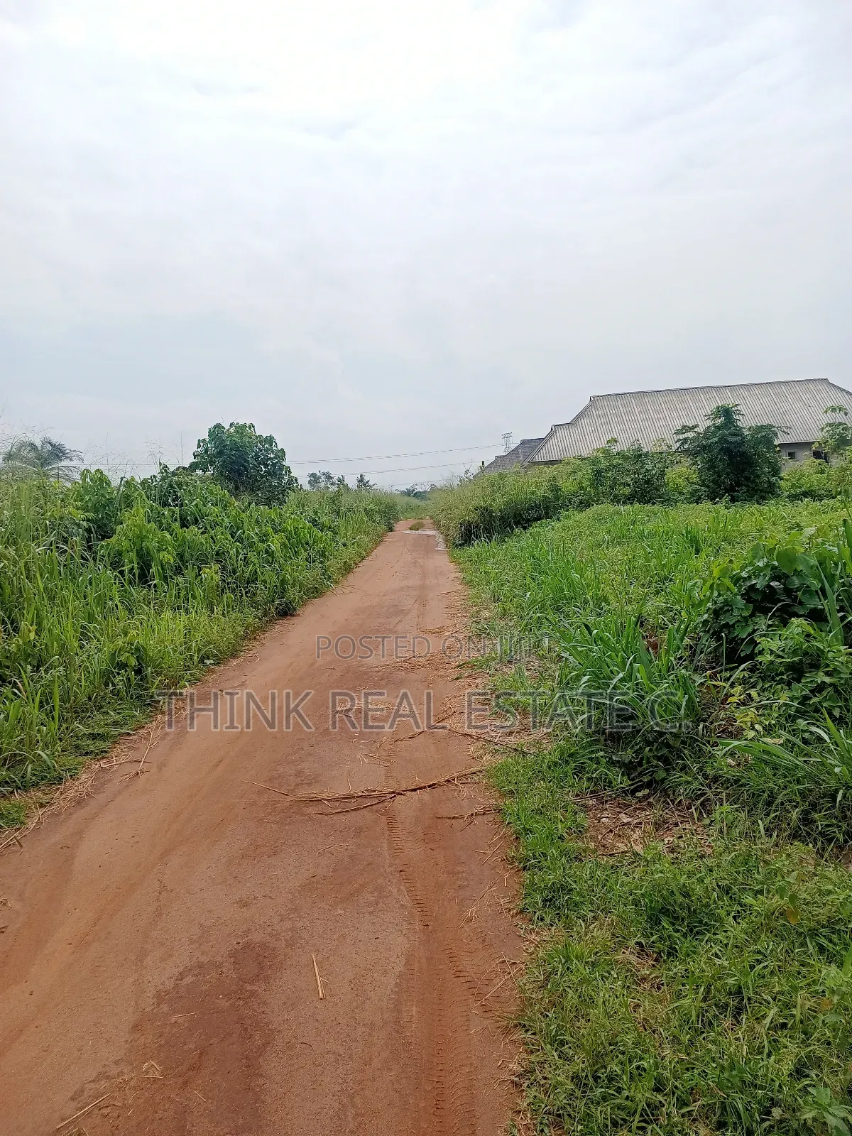 100/200 at Utekon,Oluku for 8m Net,3poles From the Tarred Rd