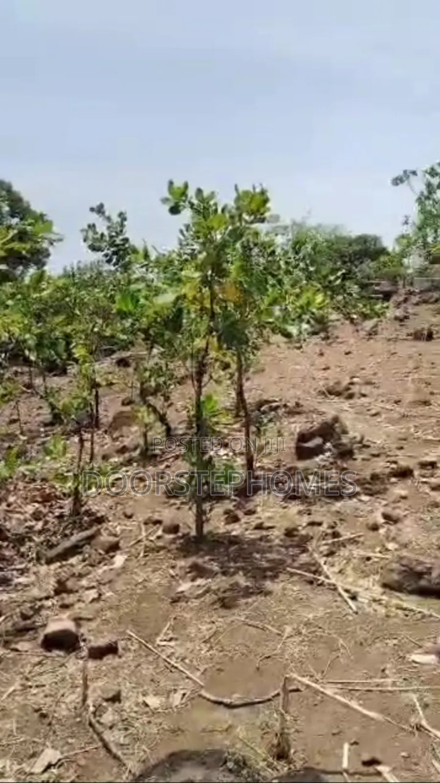 1126.50sqm Land in Dape Lifecamp for Sale