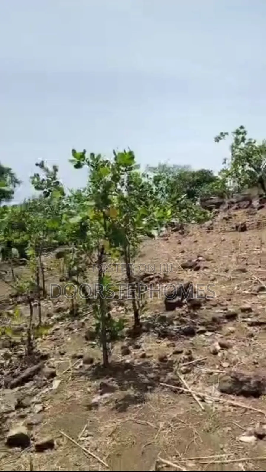 1126.50sqm Land in Dape Lifecamp for Sale