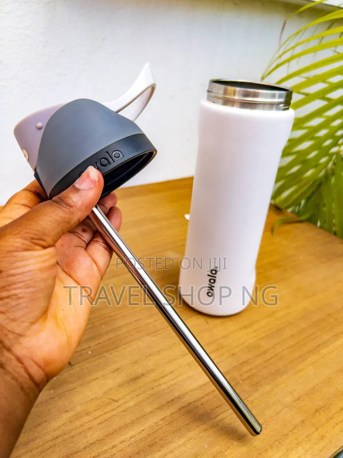 Owala Steel Straw