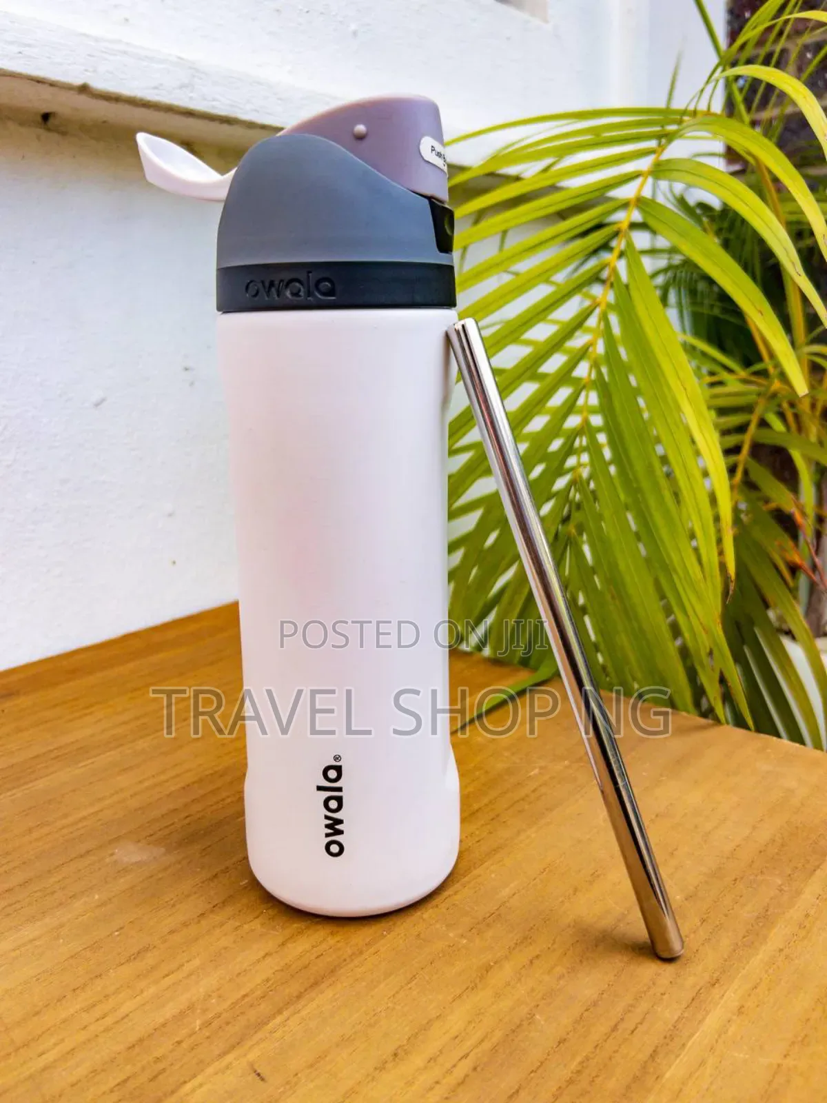 Owala Steel Straw