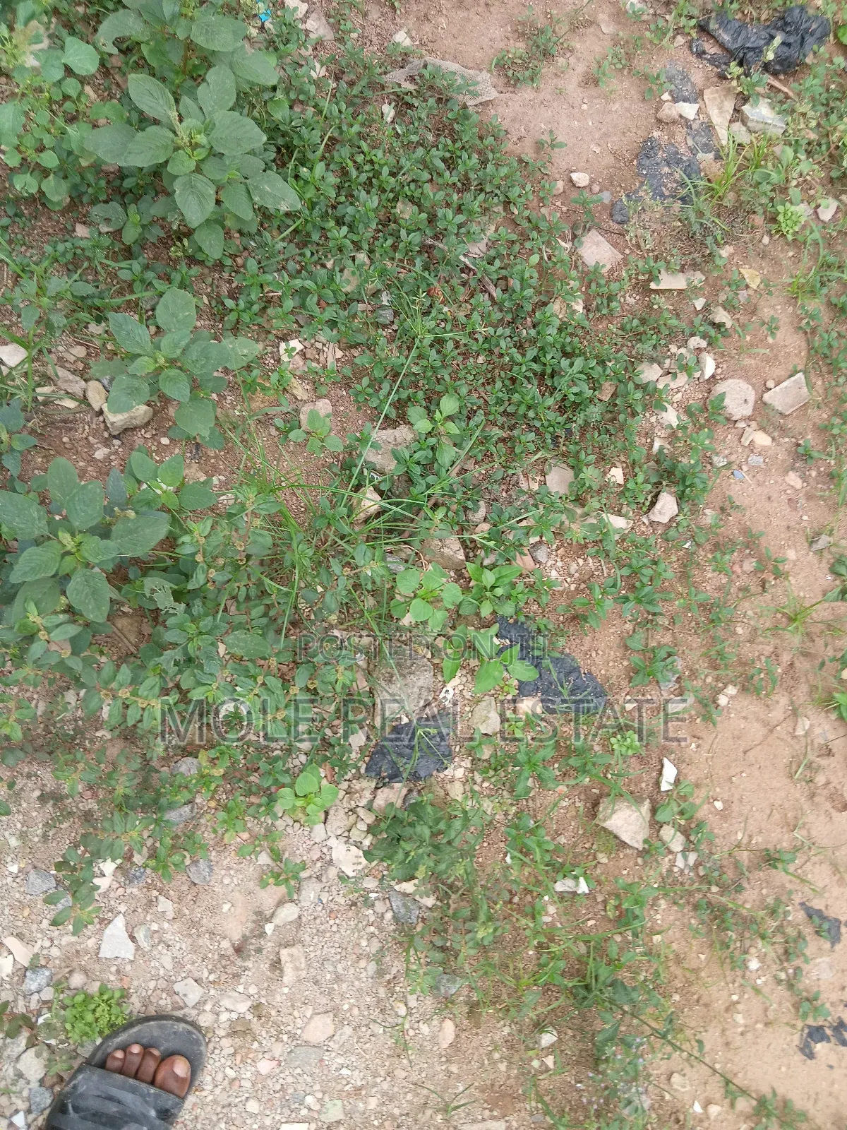 Plots 4 Sale/ Rent Ikotun Iguando June 2025