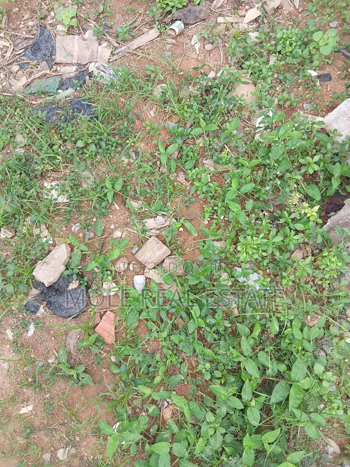 Plots 4 Sale/ Rent Ikotun Iguando June 2025