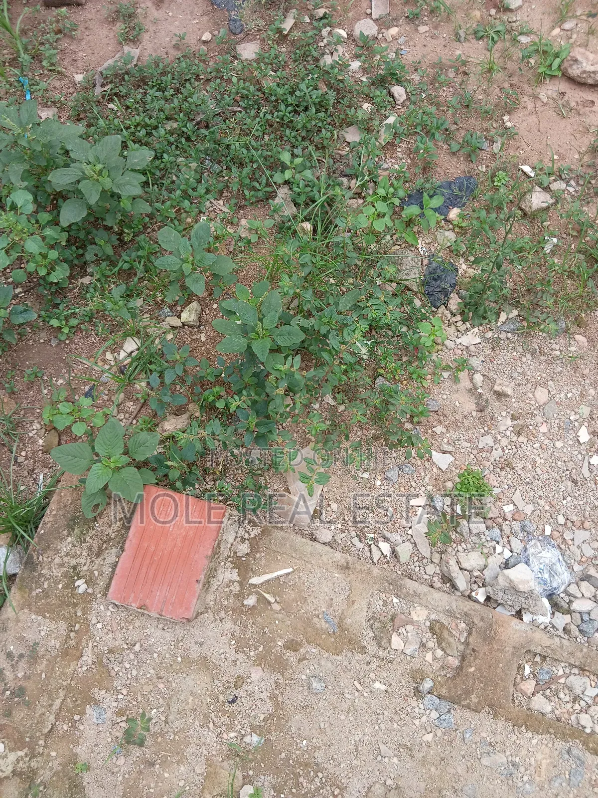 1200sqm Plots 4 Sale /Lease Ikotun Ijegun