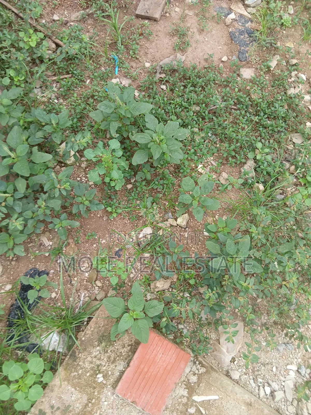 300sqm Plots 4 Sale /Lease Egbeda Alimosho