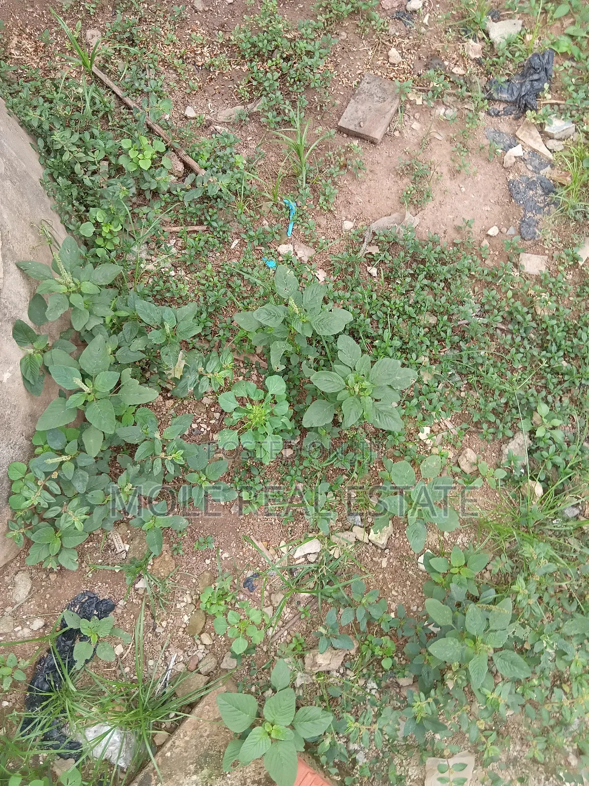 300sqm Plots 4 Sale /Lease Egbeda Alimosho
