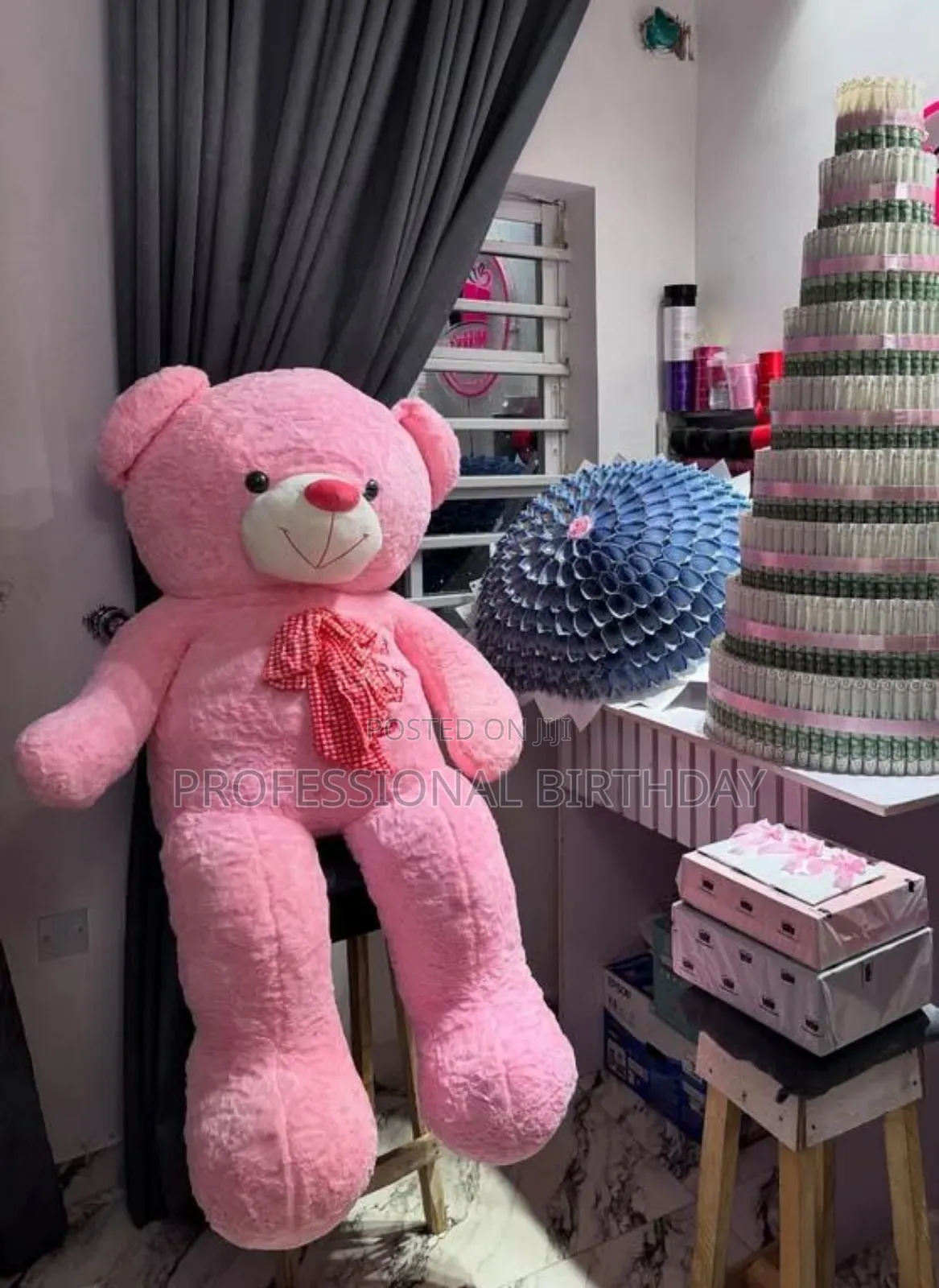 Baby Bear Teddy and Money Lagos