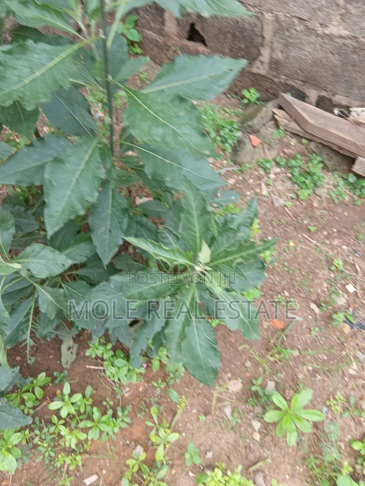 439.8 Sqm Commercial Plot Keffe Ikoyi Awolowo Way
