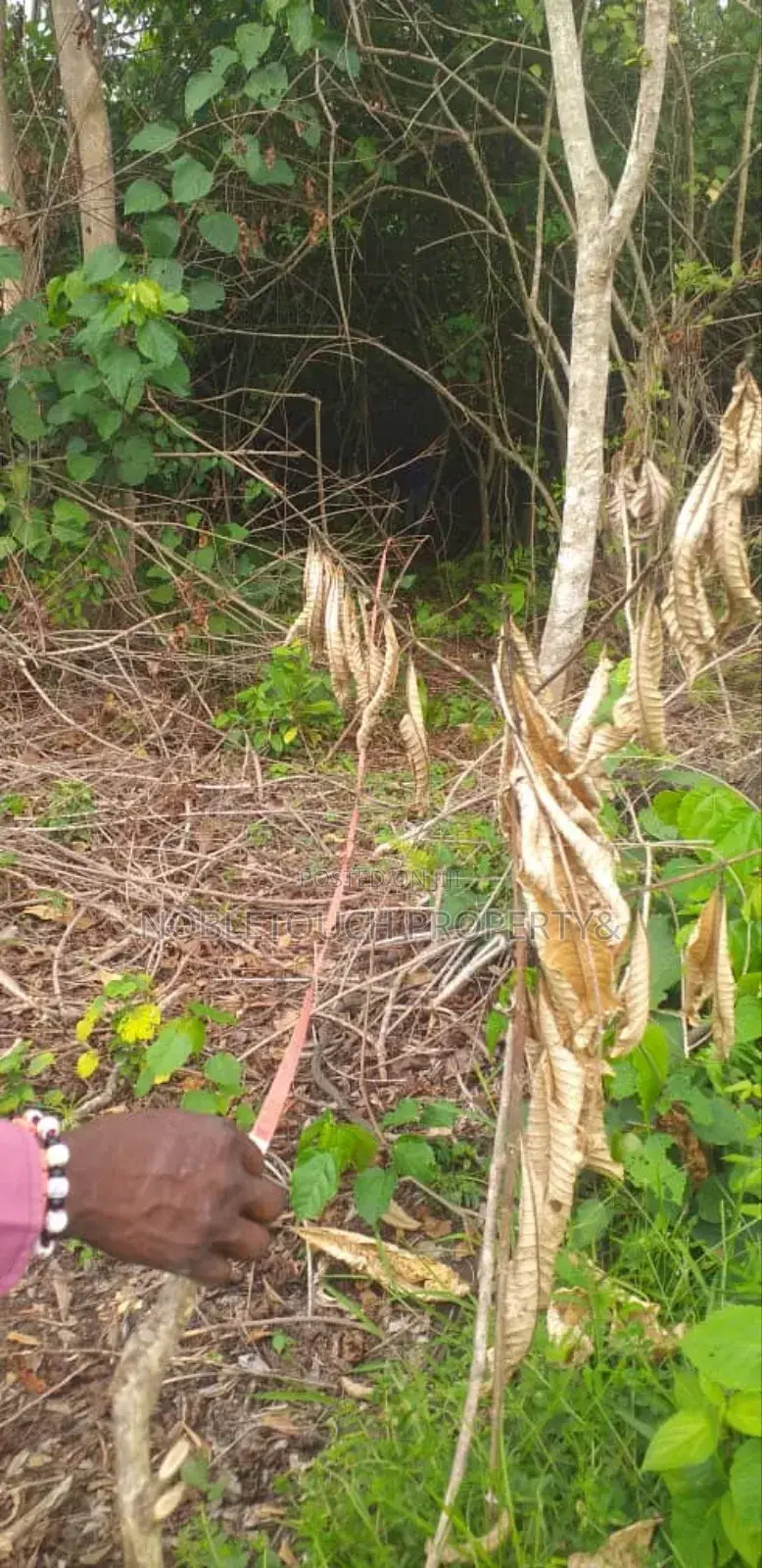 Dry Table Land at Agbowa Ikorodu Lagos