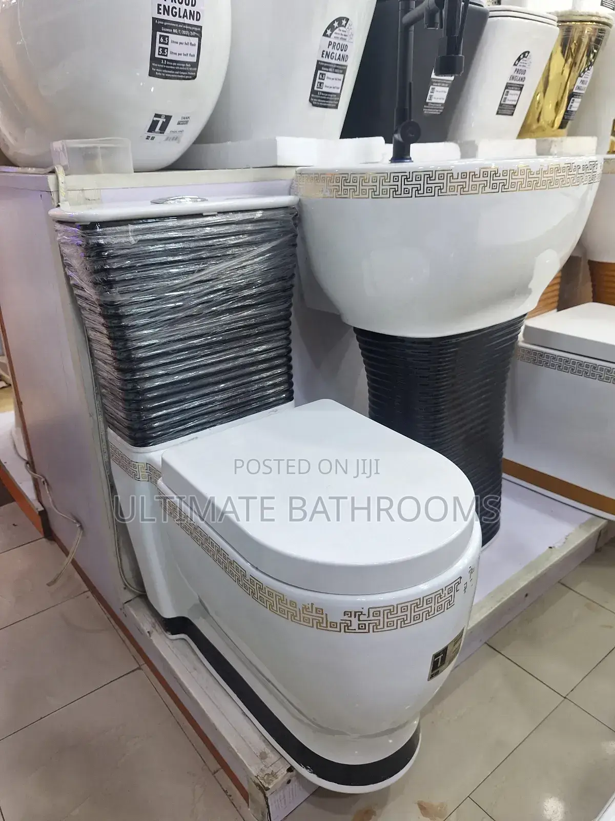 Executive White and Black Watercloset