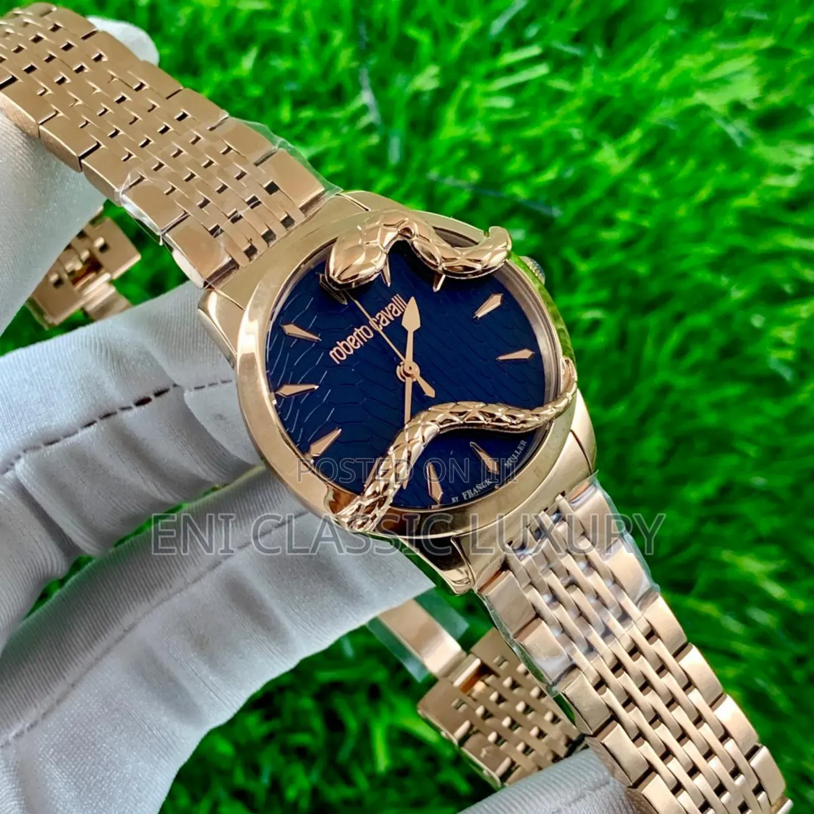 Super High Quality Luxury Wristwatches Robert Cavalli
