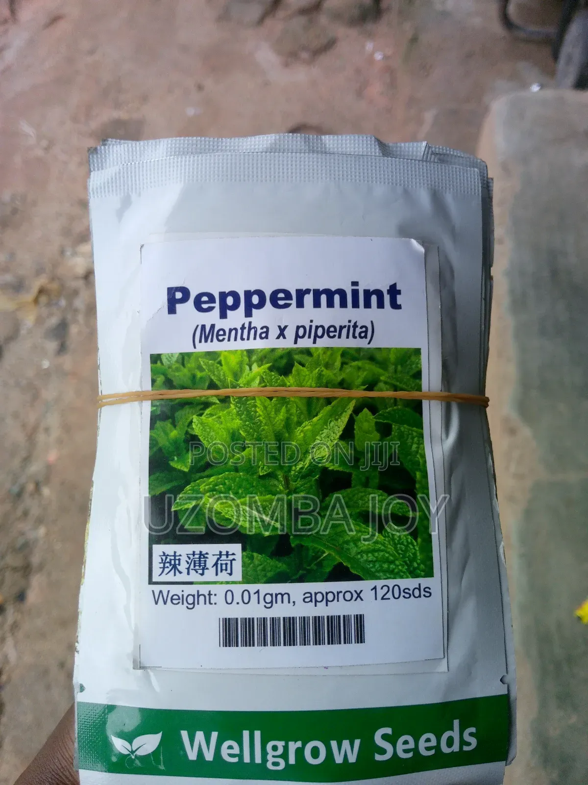 Wellgrow Pepper Mint Seeds