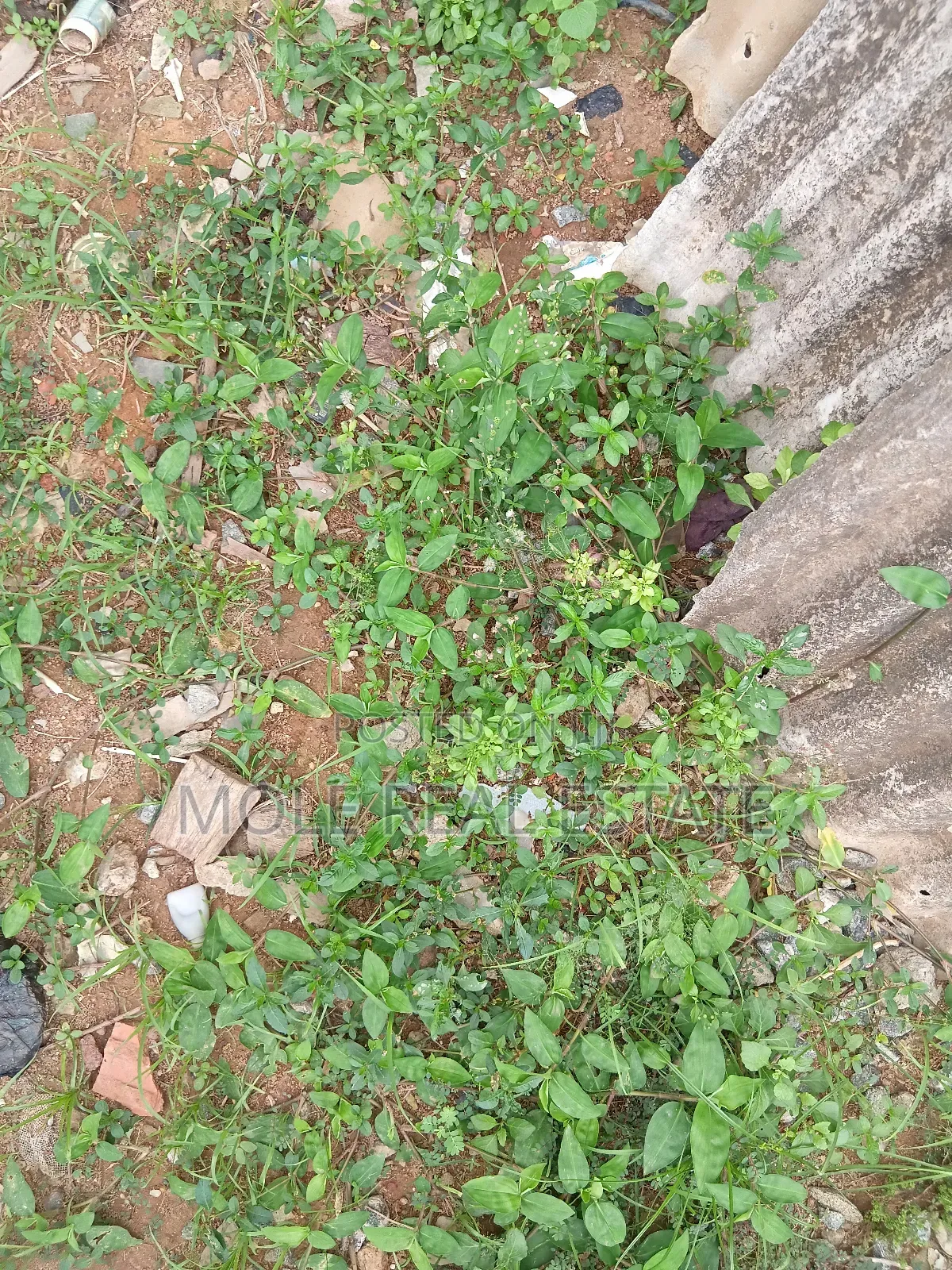 6,592sqm Plot Barre Land By Vgc Leki