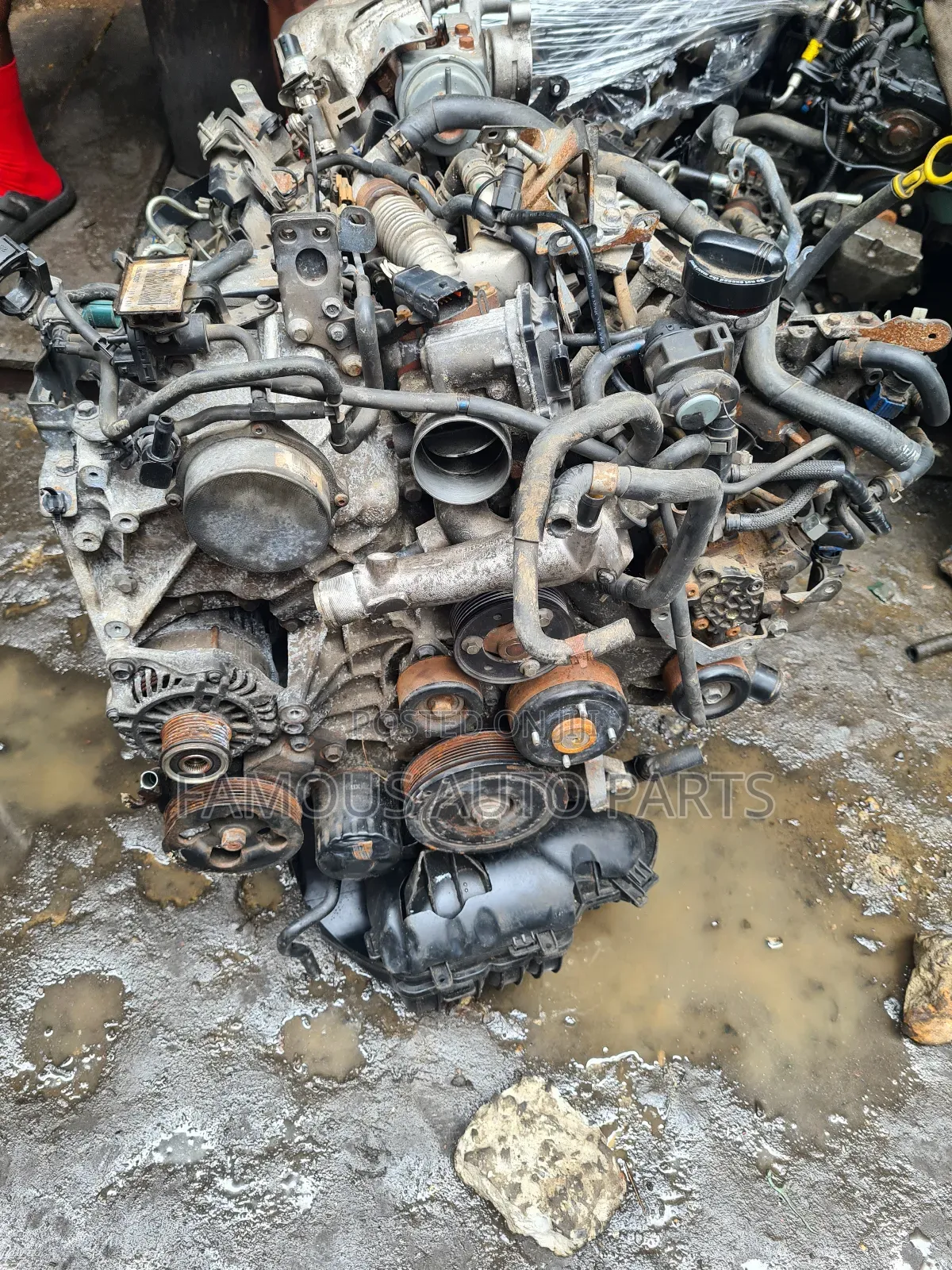 Nissan Navara Diesel  Engine
