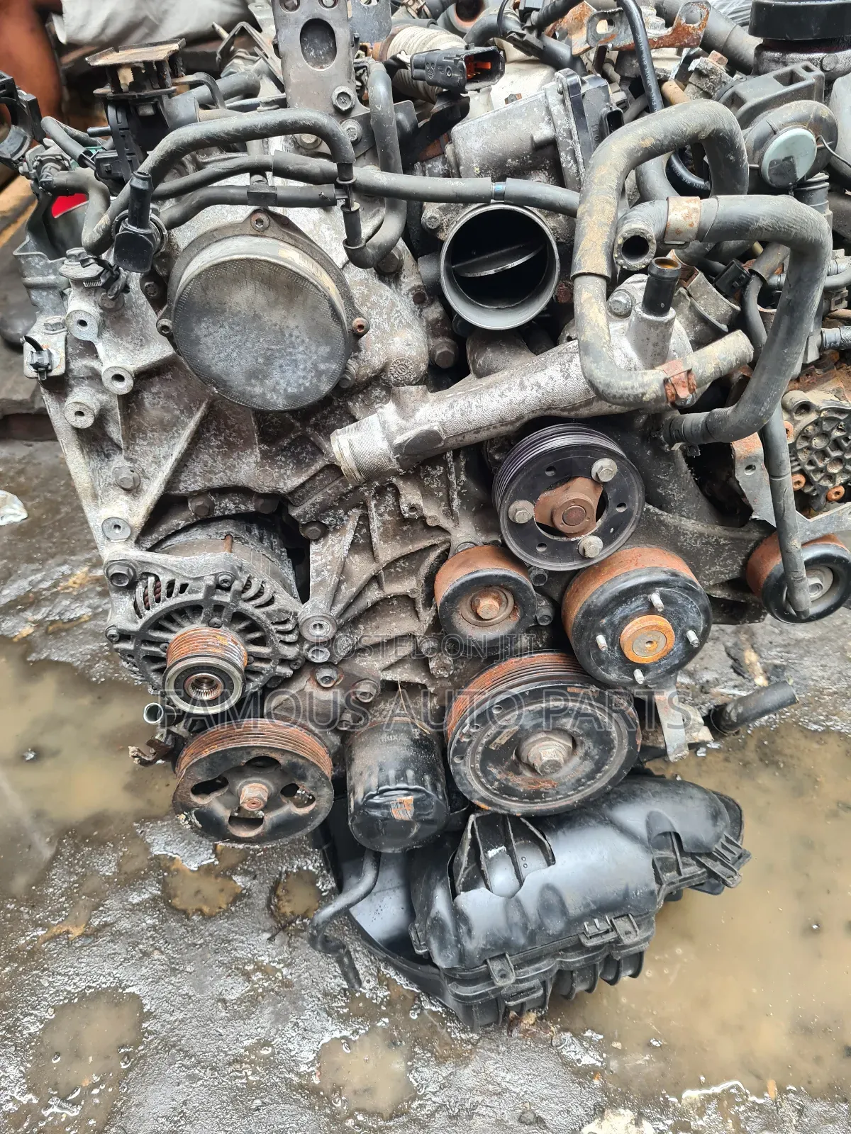 Nissan Navara Diesel  Engine