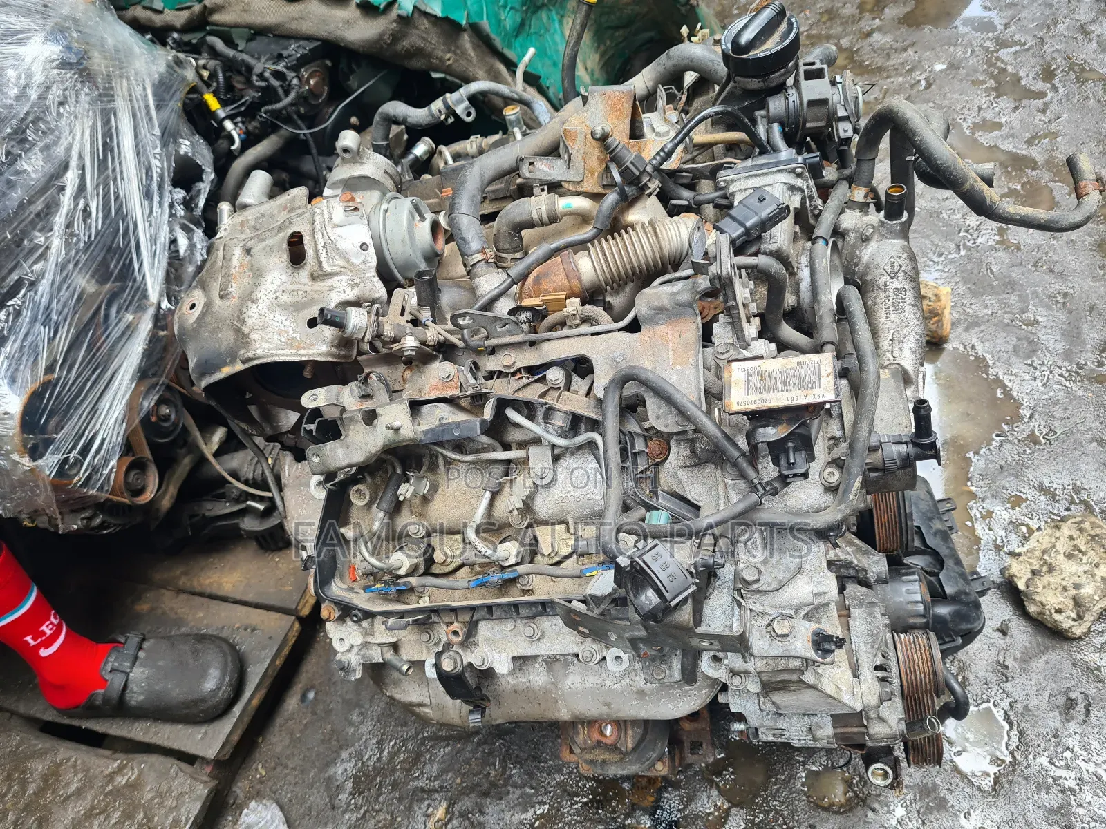 Nissan Navara Diesel  Engine