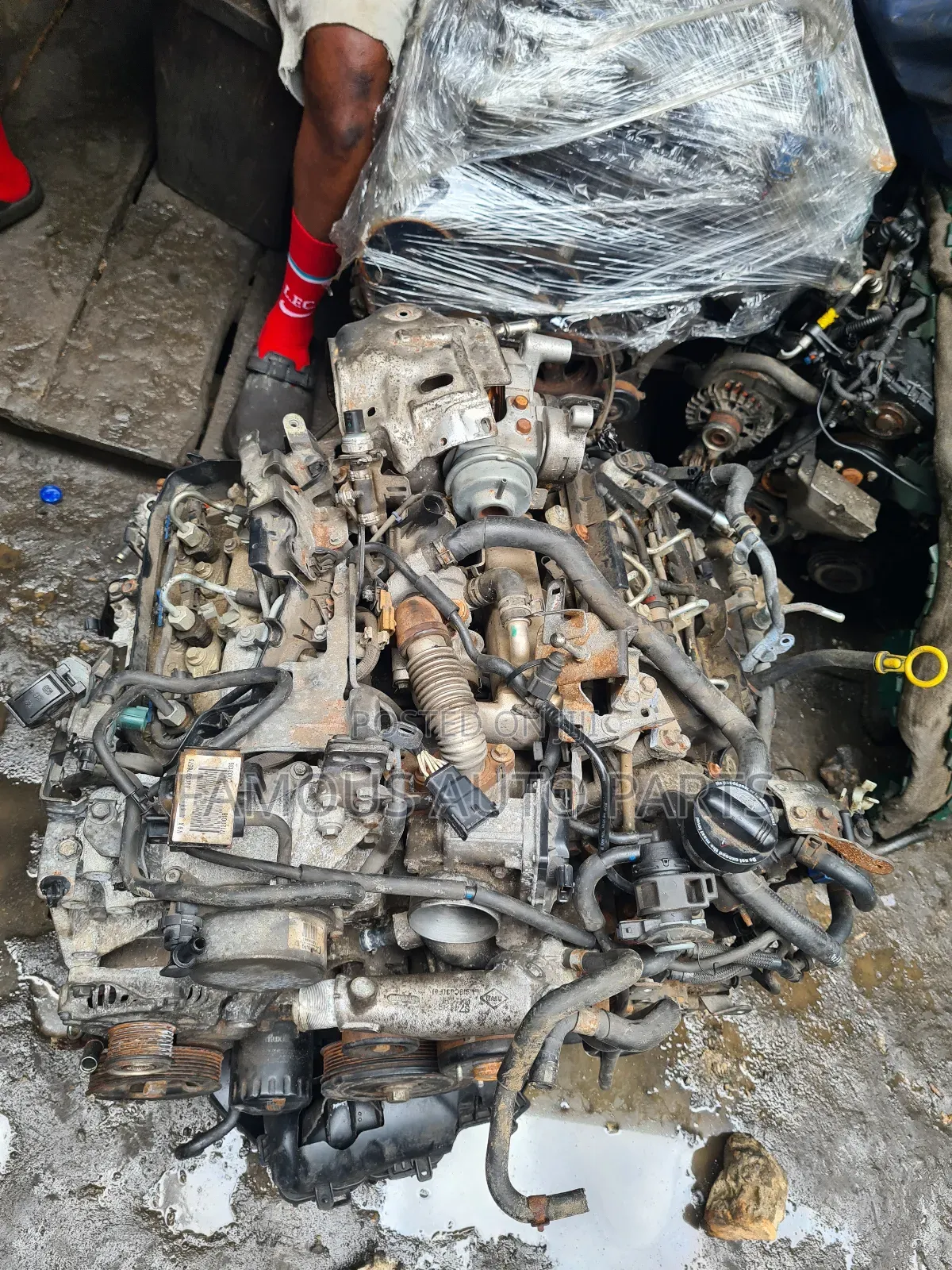Nissan Navara Diesel  Engine