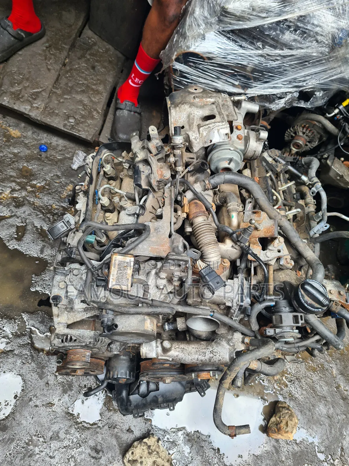 Nissan Navara Diesel  Engine